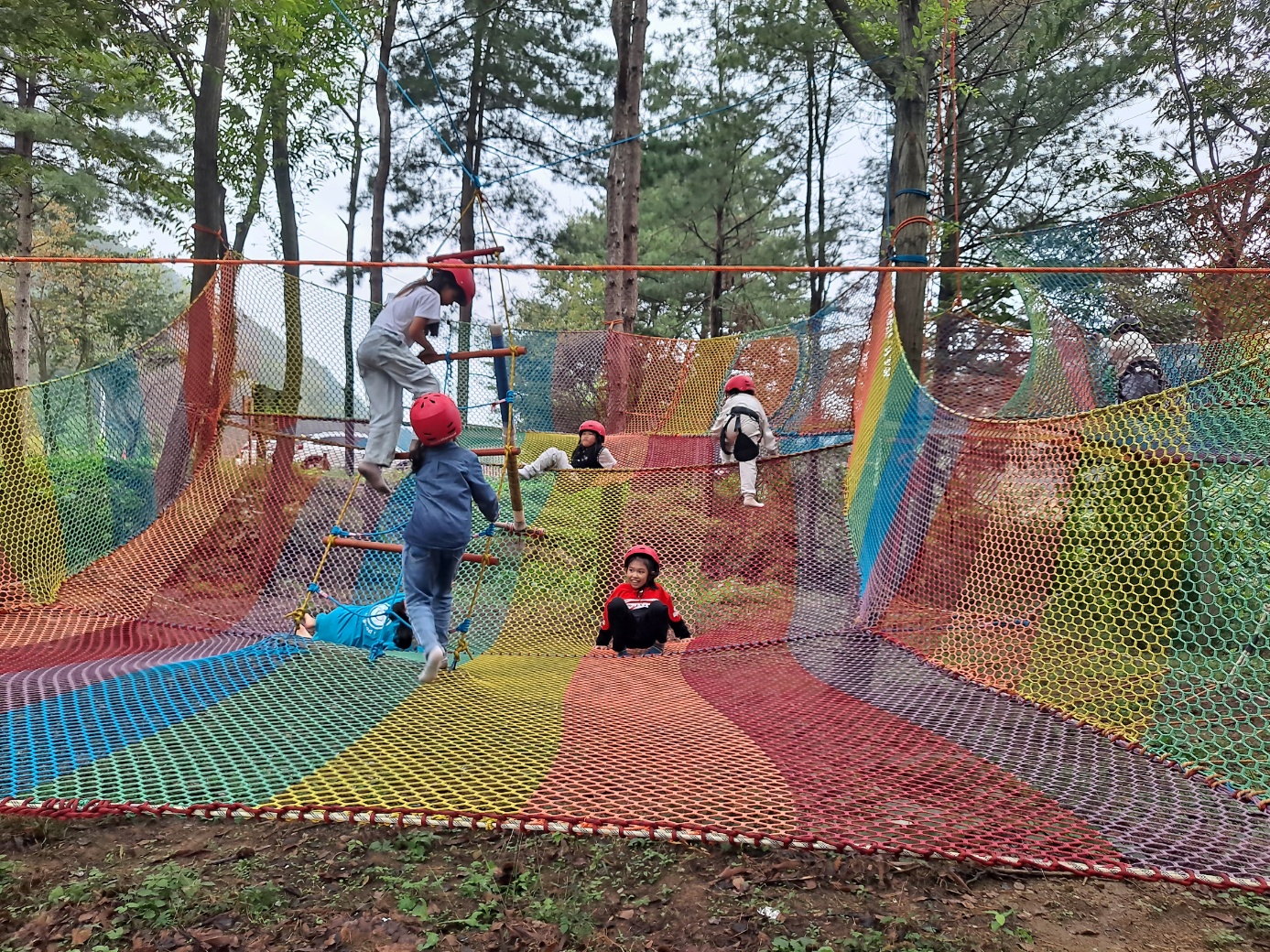 트리아이