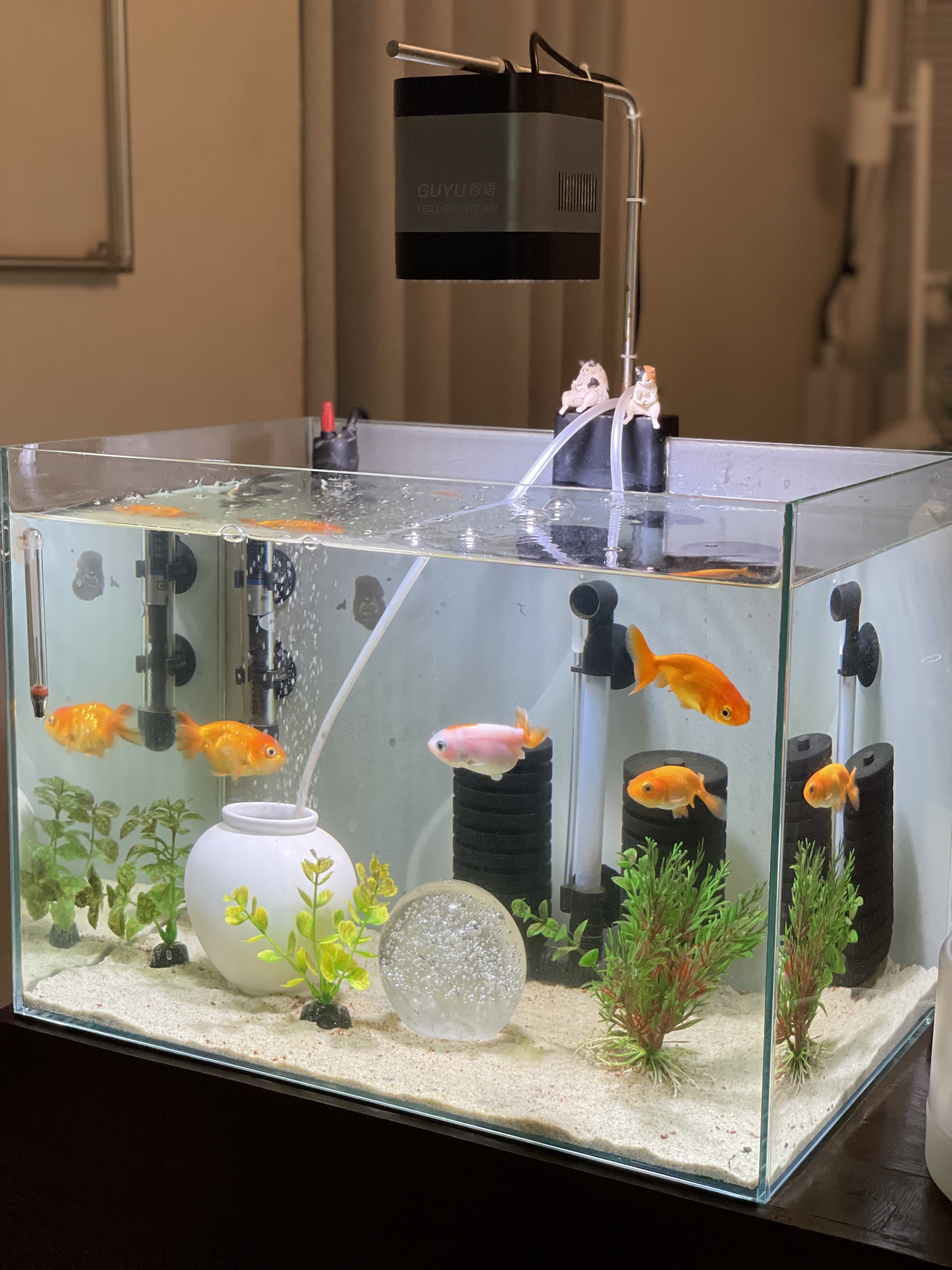 하르요가 대표 이미지