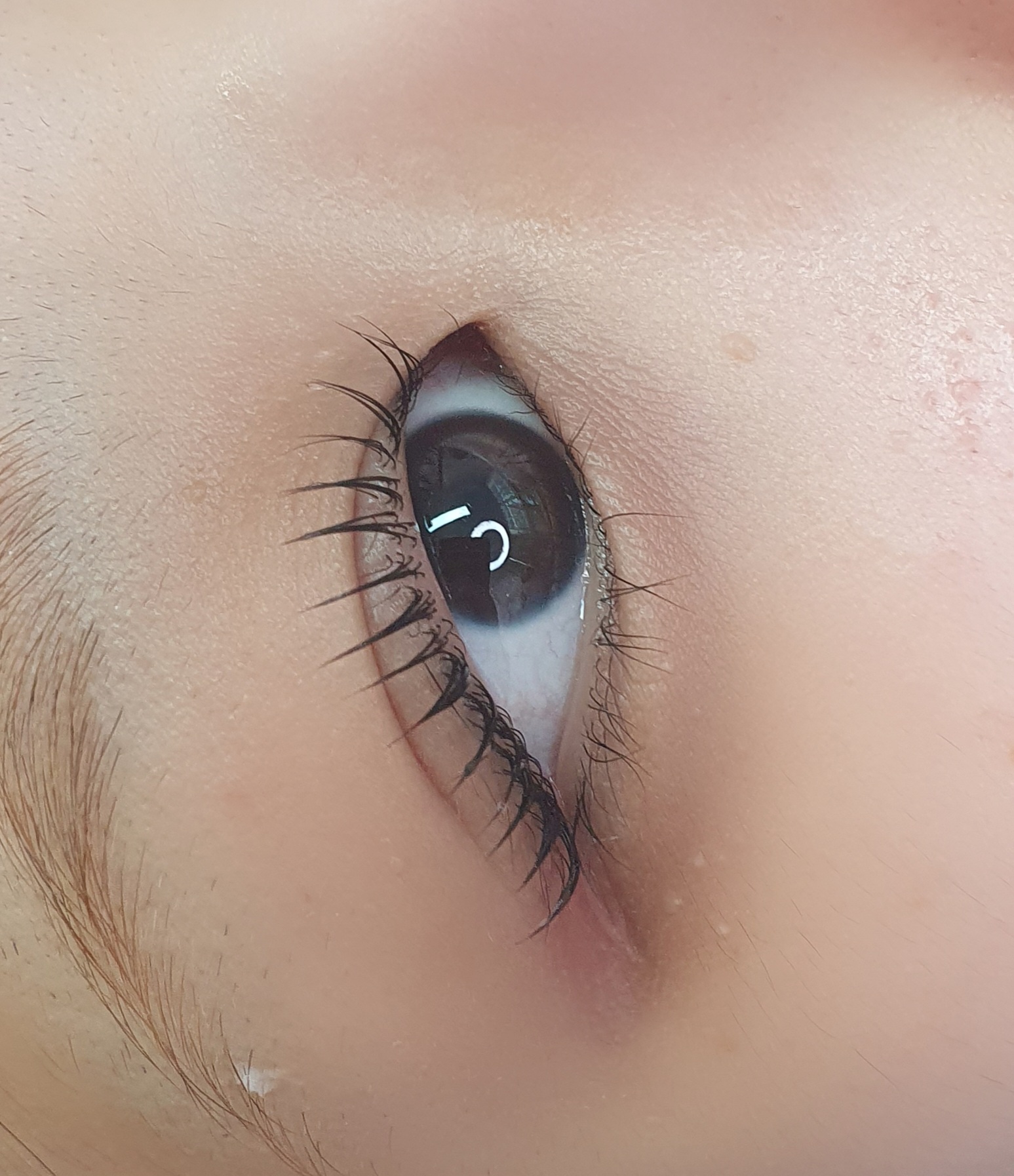 컬러앤래쉬