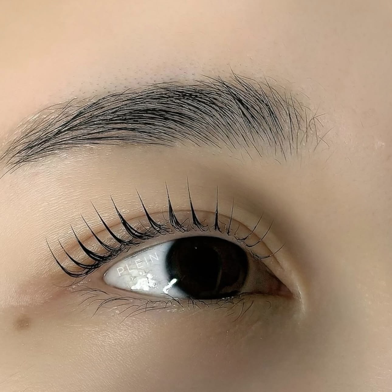 플랑 대표 이미지