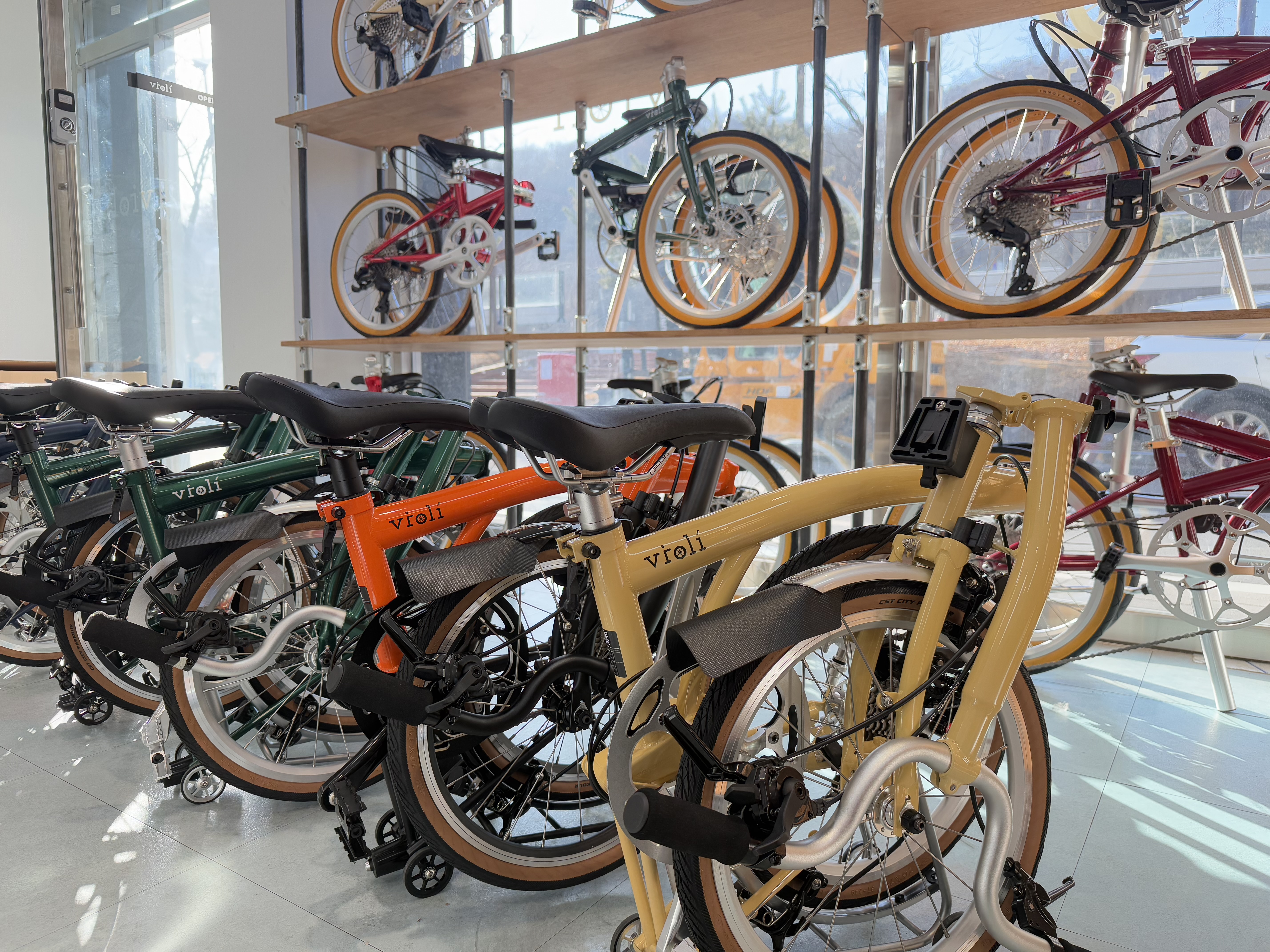 비올리 대표 이미지