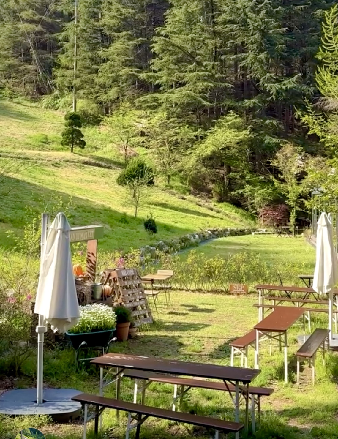 카페 만디 cafe mandi