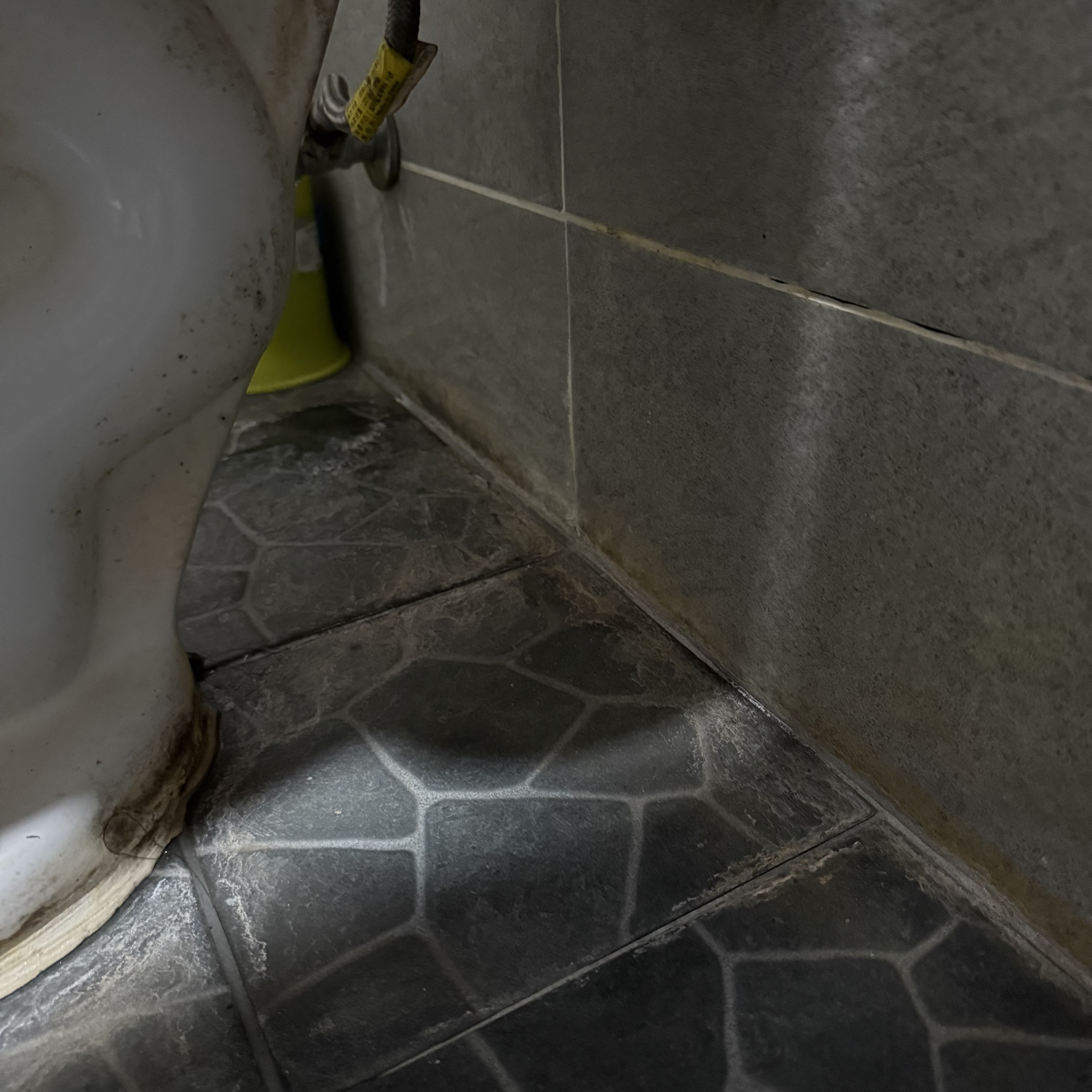 입주청소 클린시아 대표 이미지