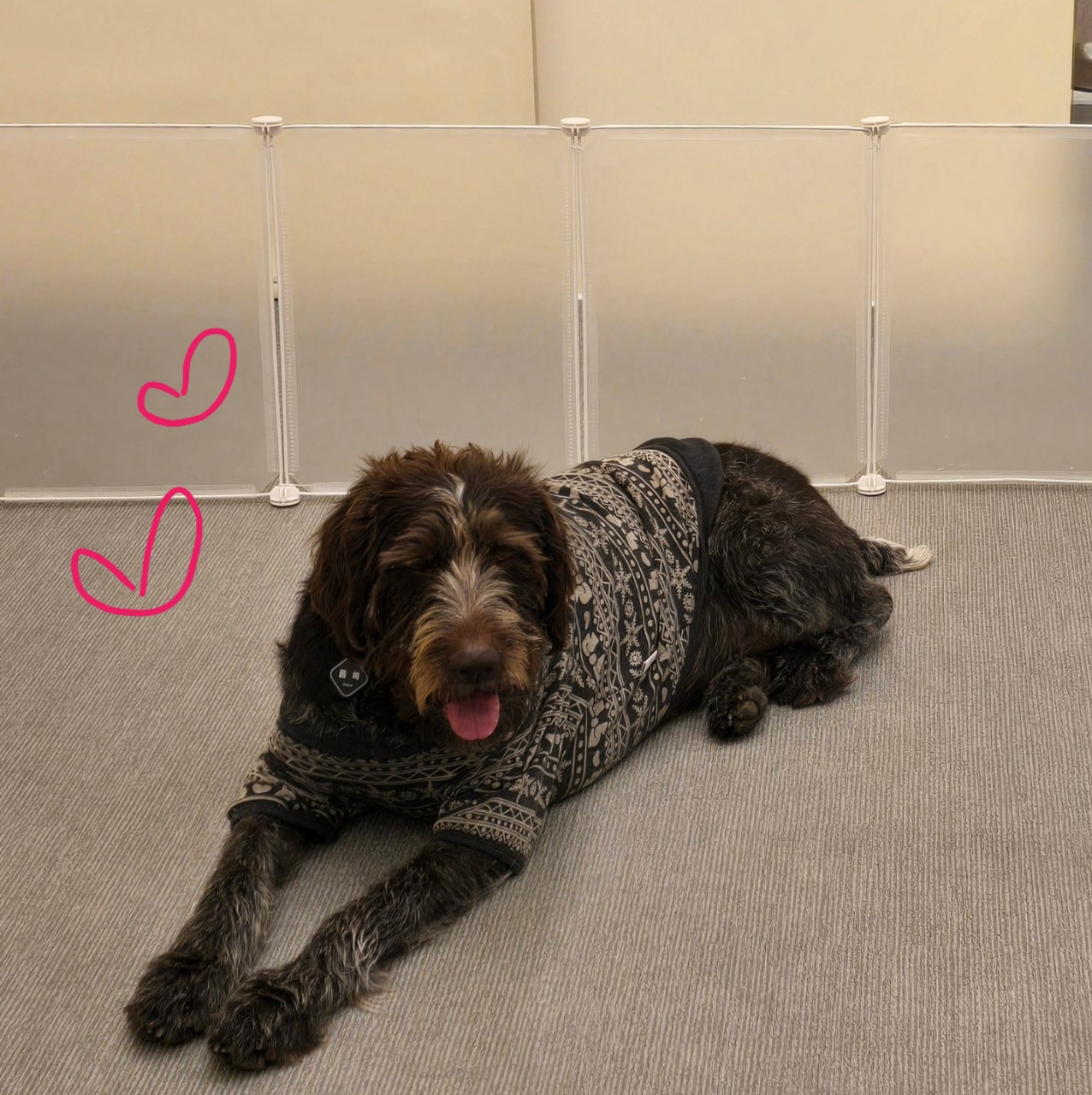 조이네집 대표 이미지