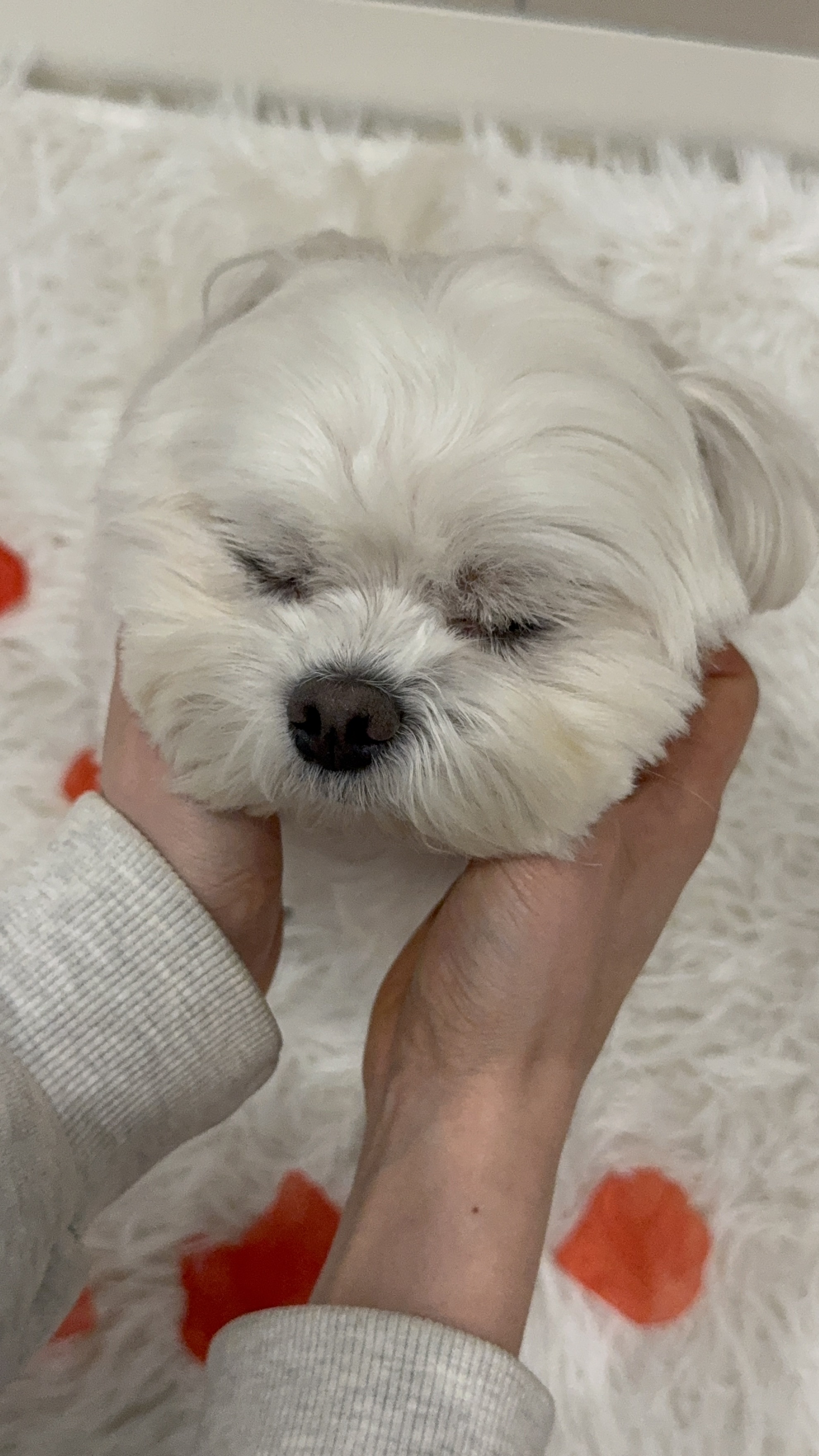 옐레드 부천신중동점 대표 이미지