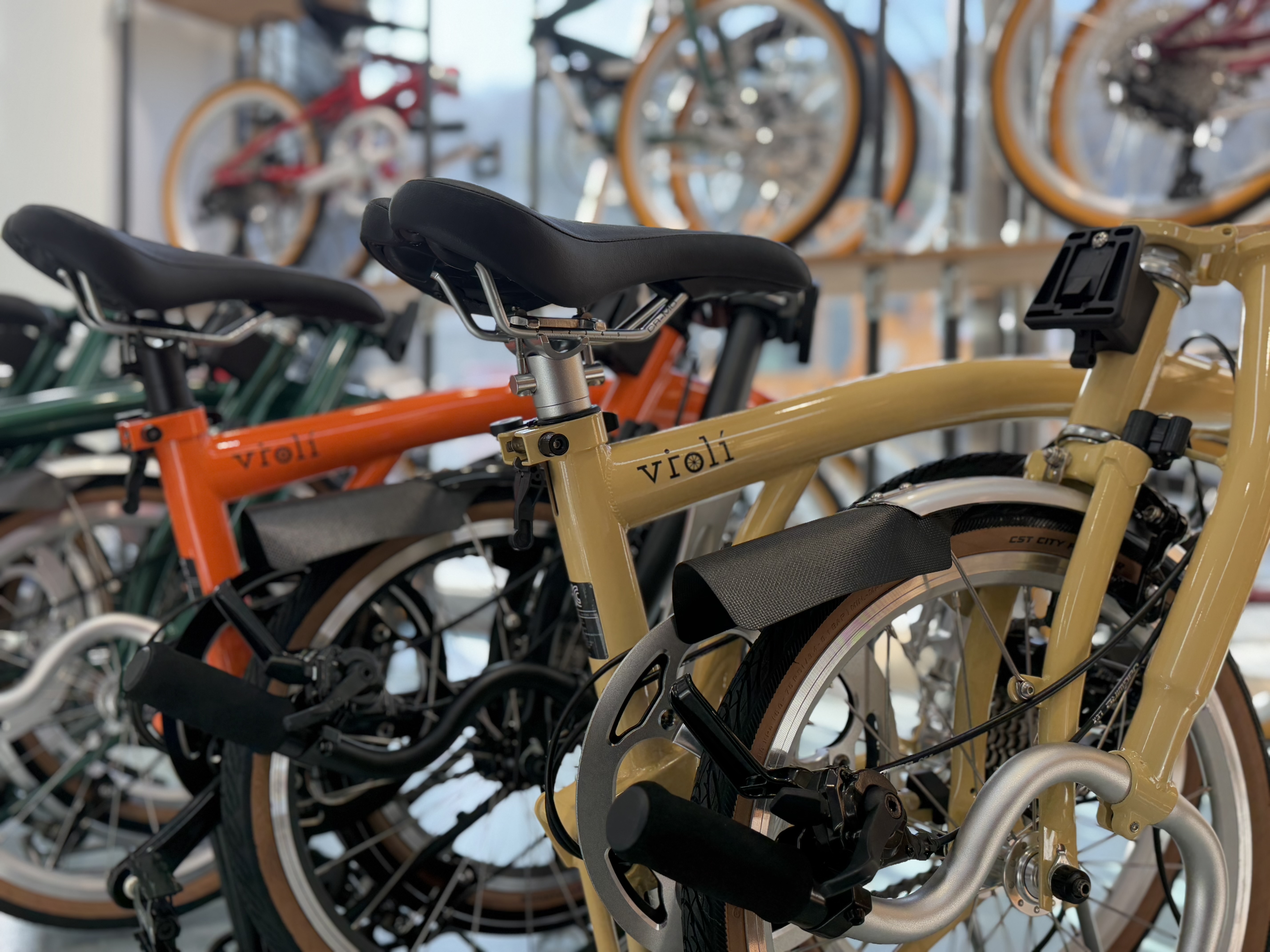 비올리 대표 이미지