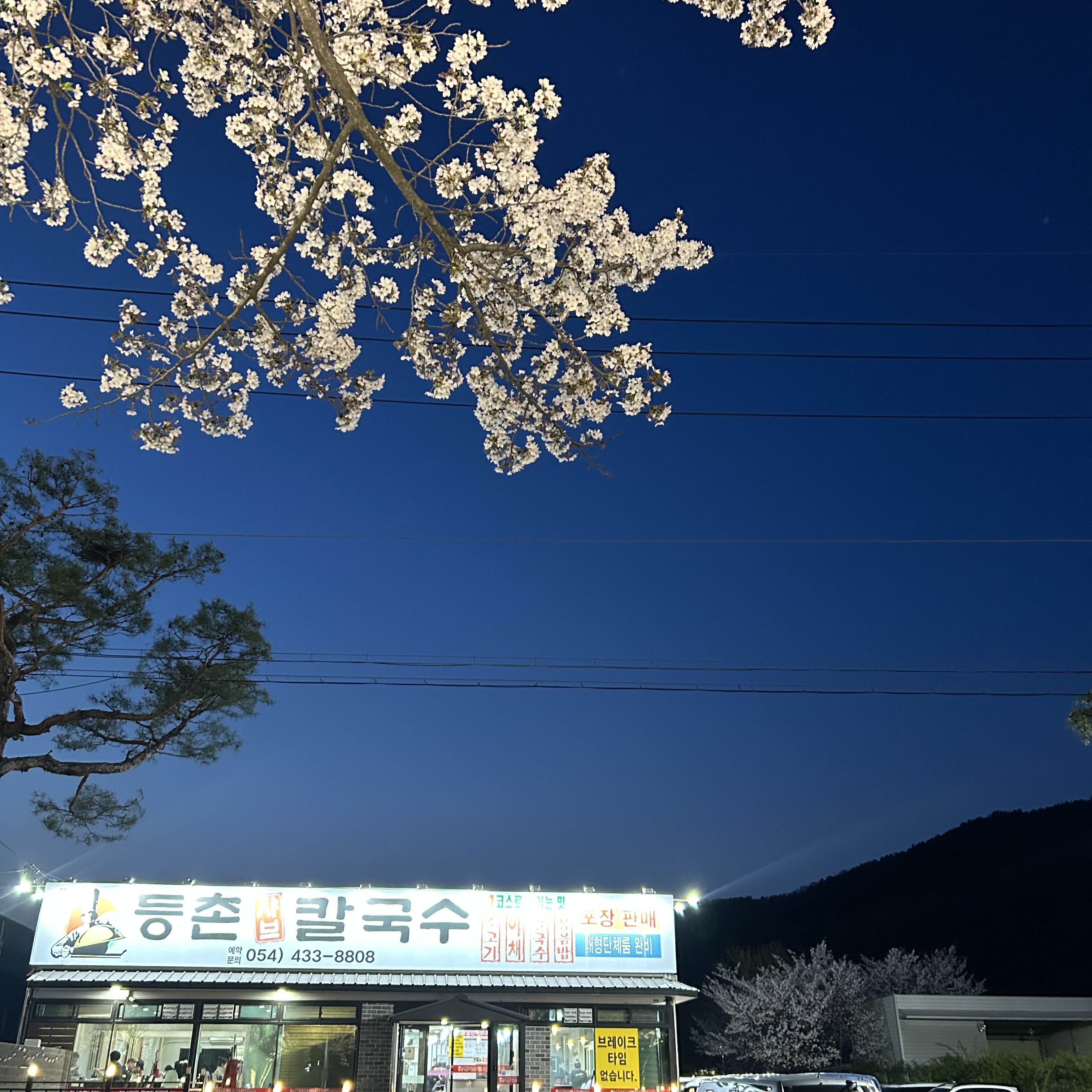 등촌샤브칼국수