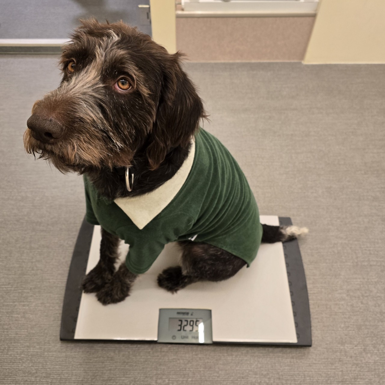 조이네집 대표 이미지