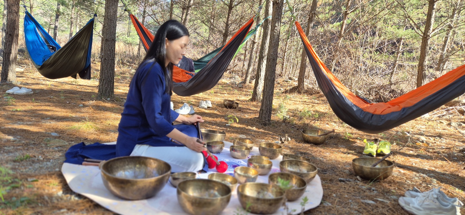 하이명상심리상담연구소 대표 이미지