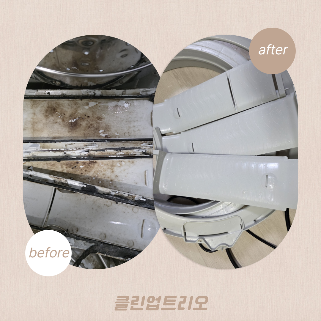 클린업트리오 대표 이미지