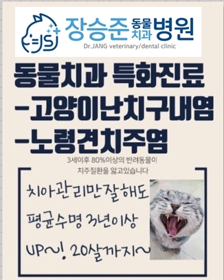 장승준동물치과병원 대표 이미지