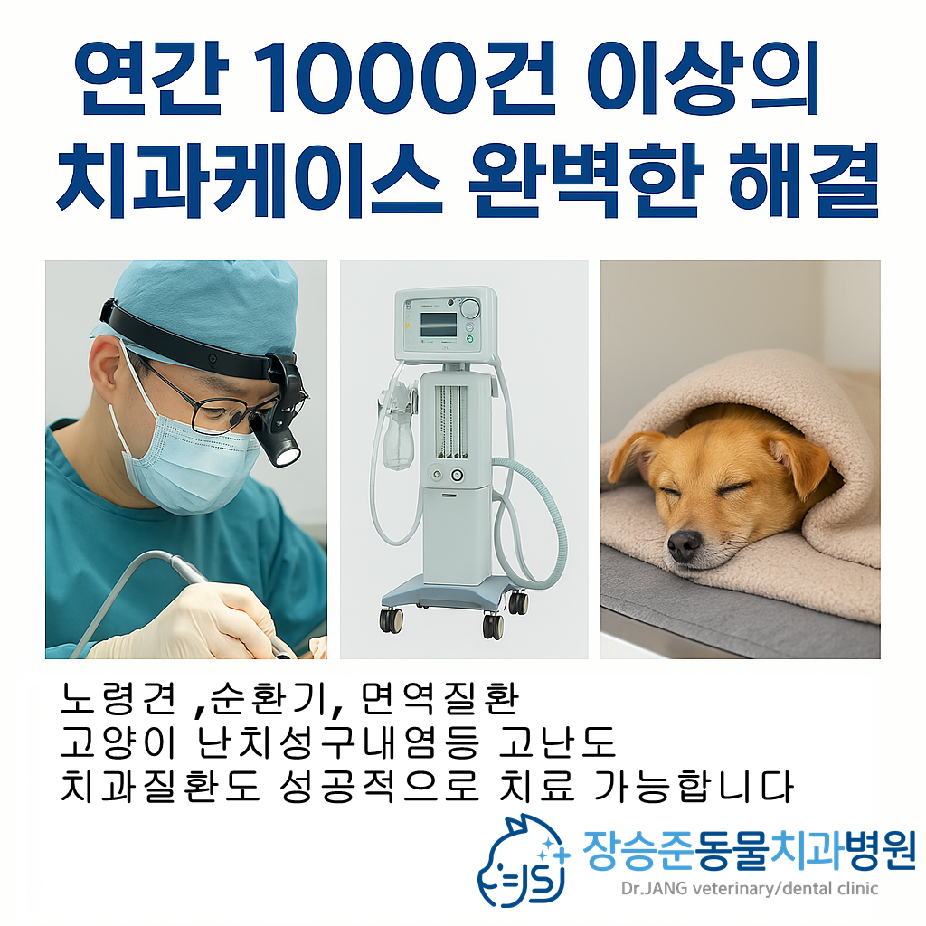 장승준동물치과병원 대표 이미지