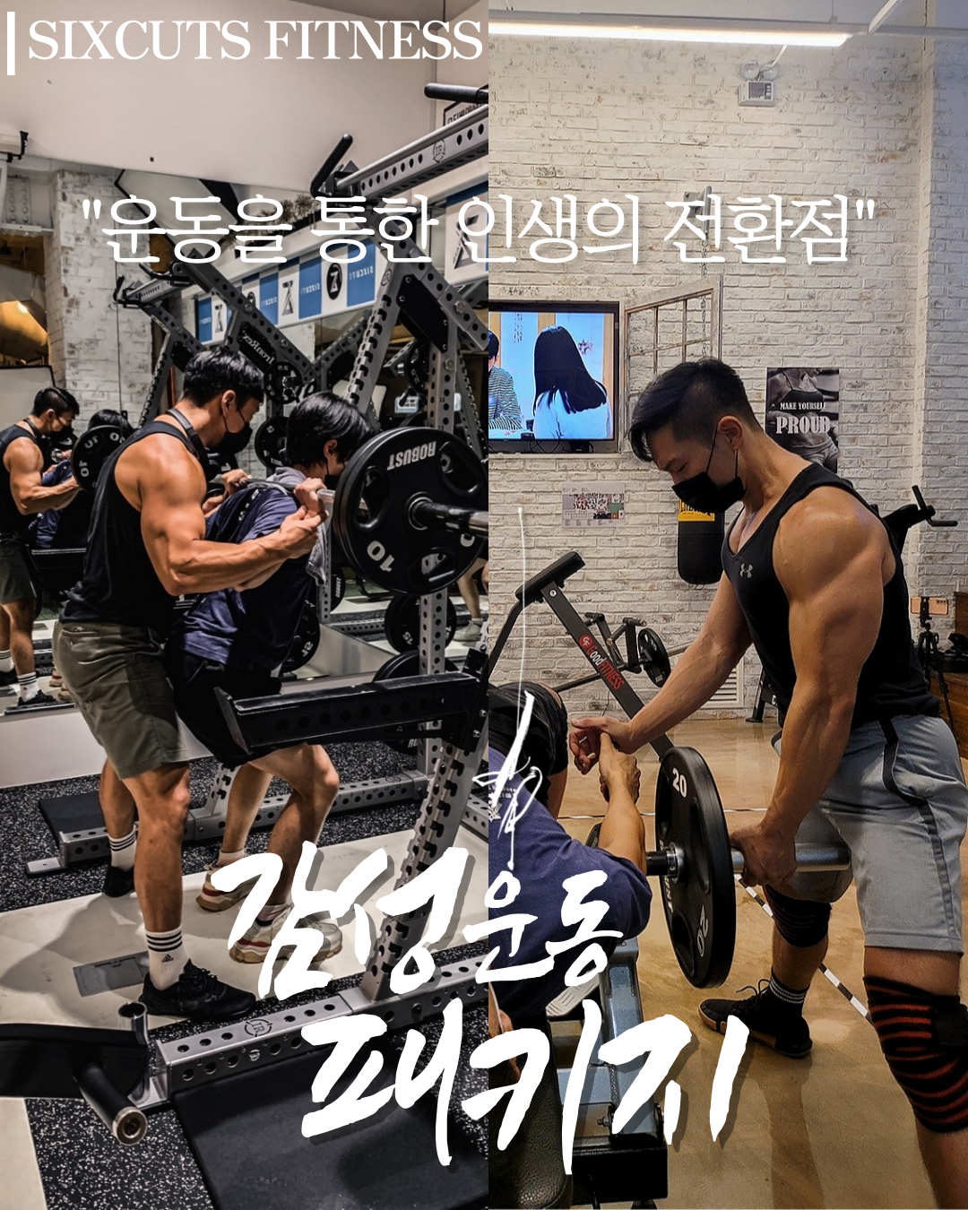 식스컷츠 피트니스 안성 공도점