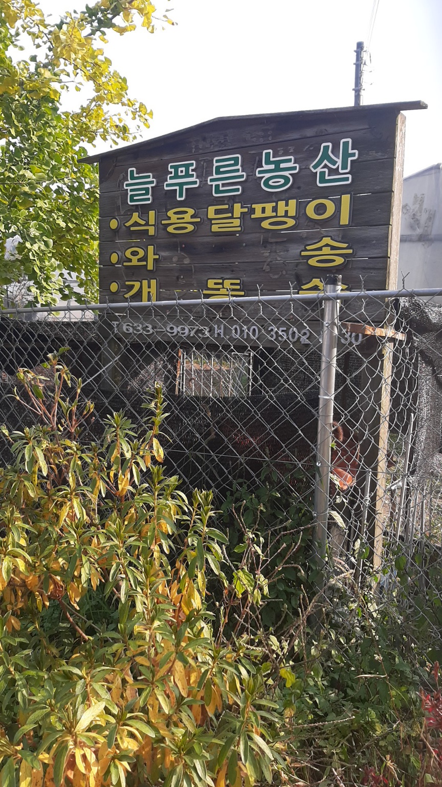 늘푸른농산