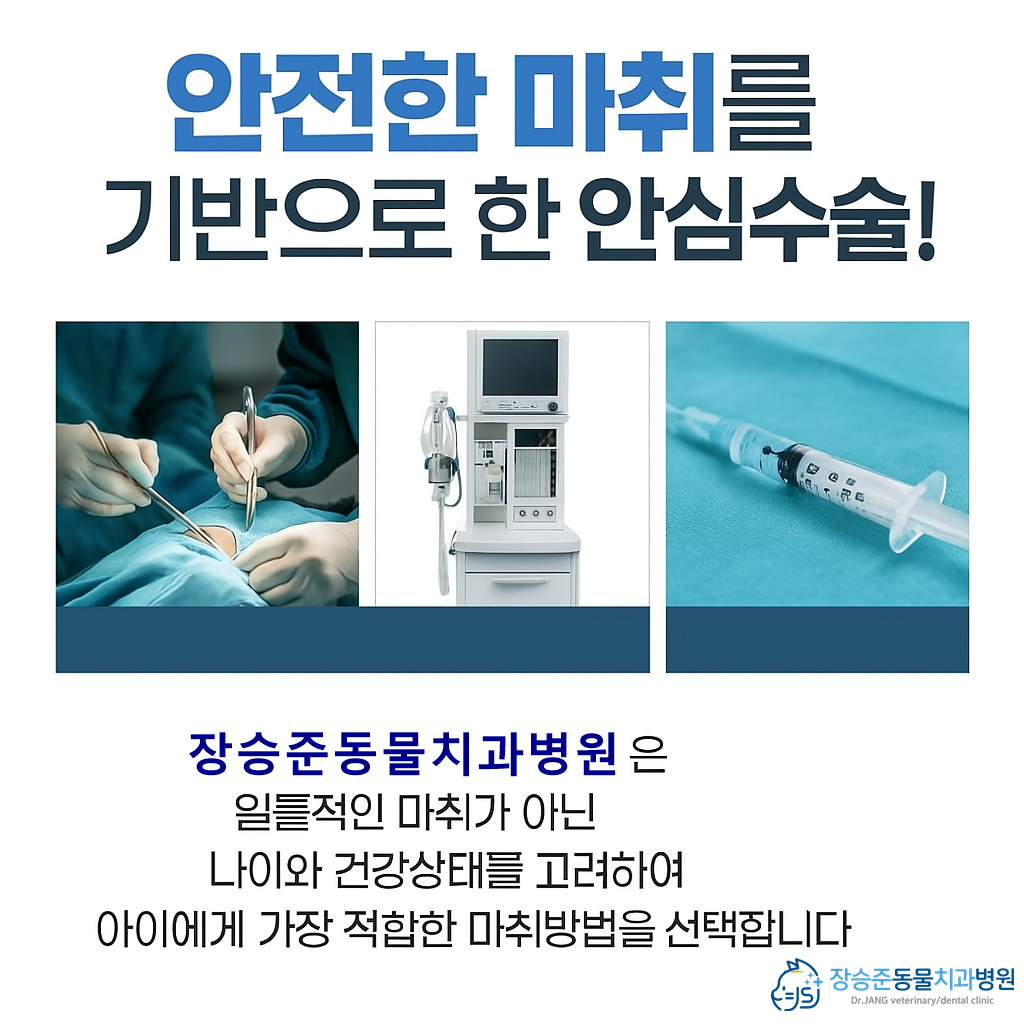 장승준동물치과병원 대표 이미지
