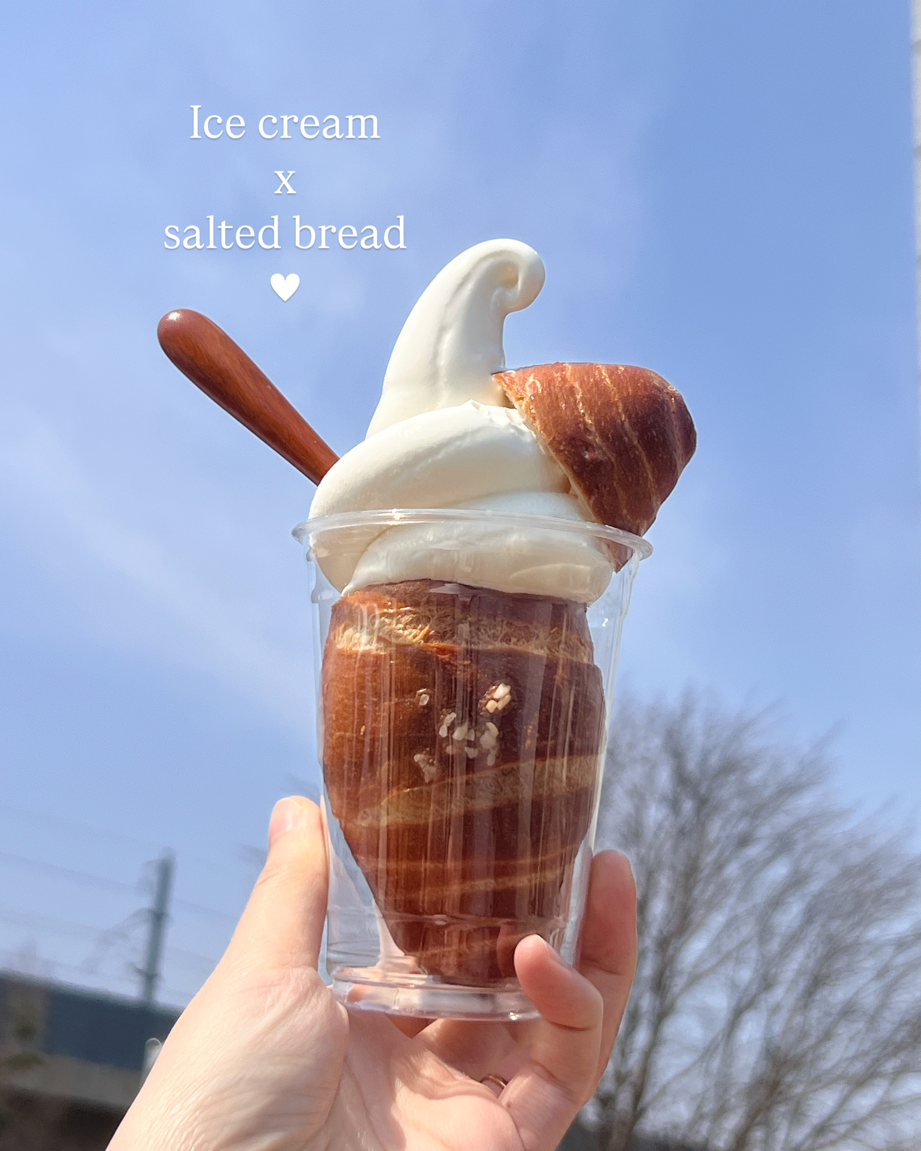 에잇스타 설명사진