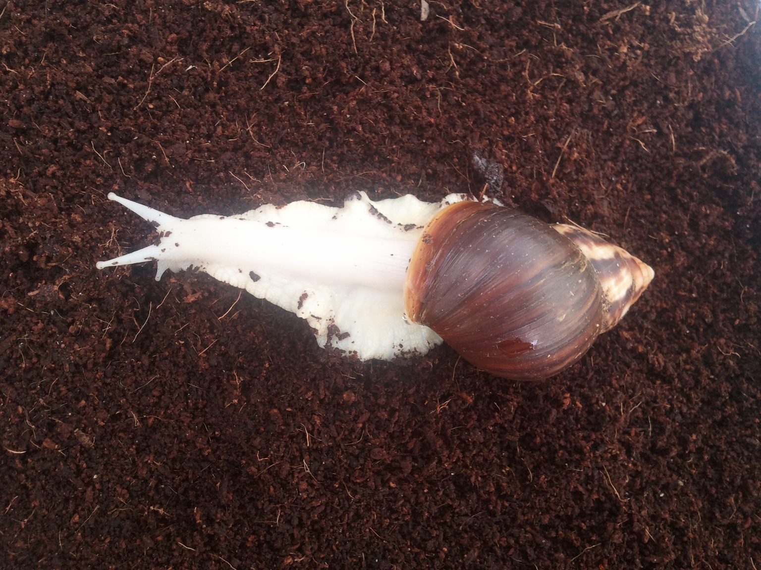 늘푸른농산