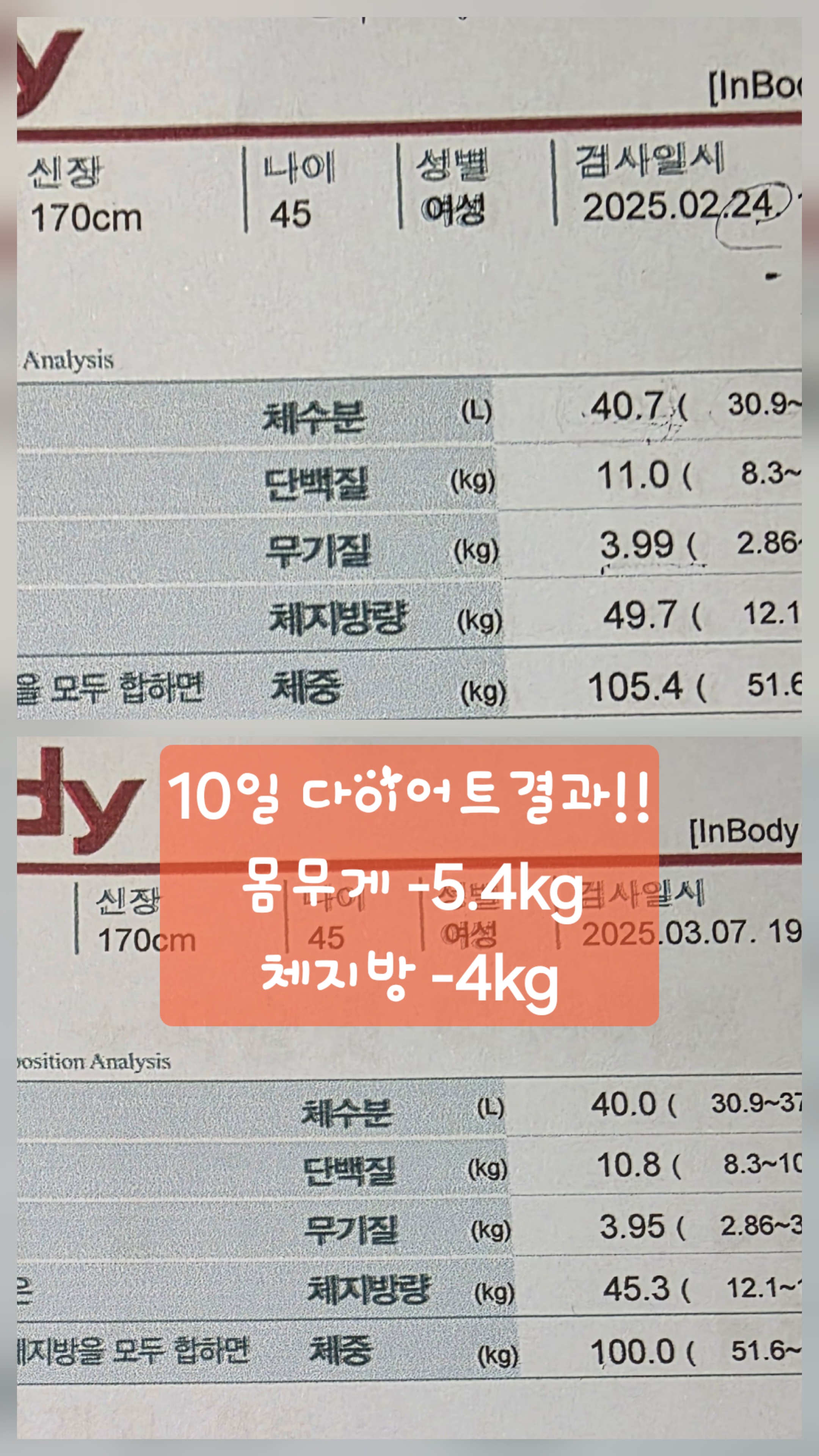 따숨핏점핑다이어트