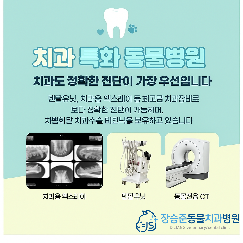 장승준동물치과병원 대표 이미지