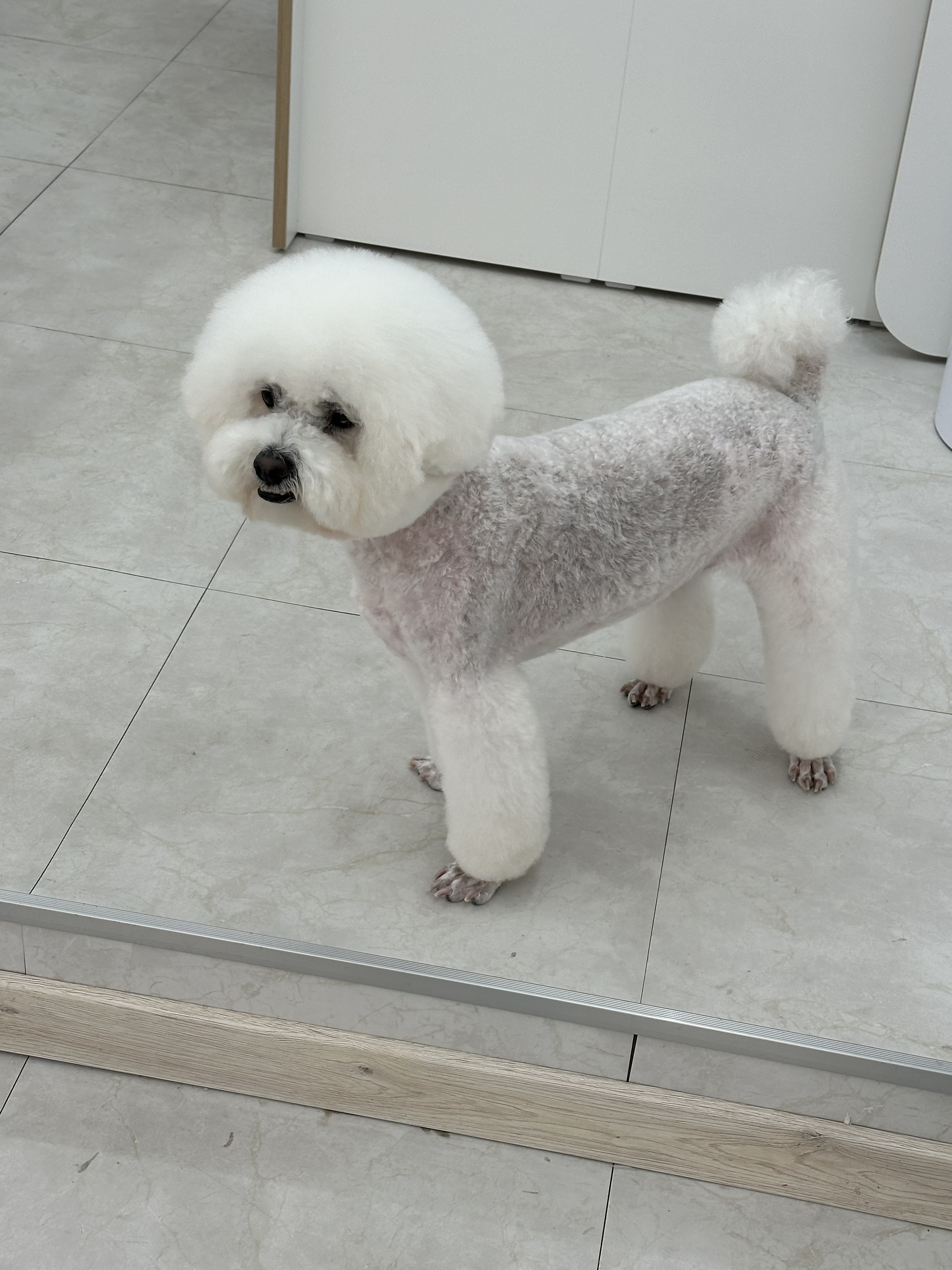 멍스월드 대표 이미지