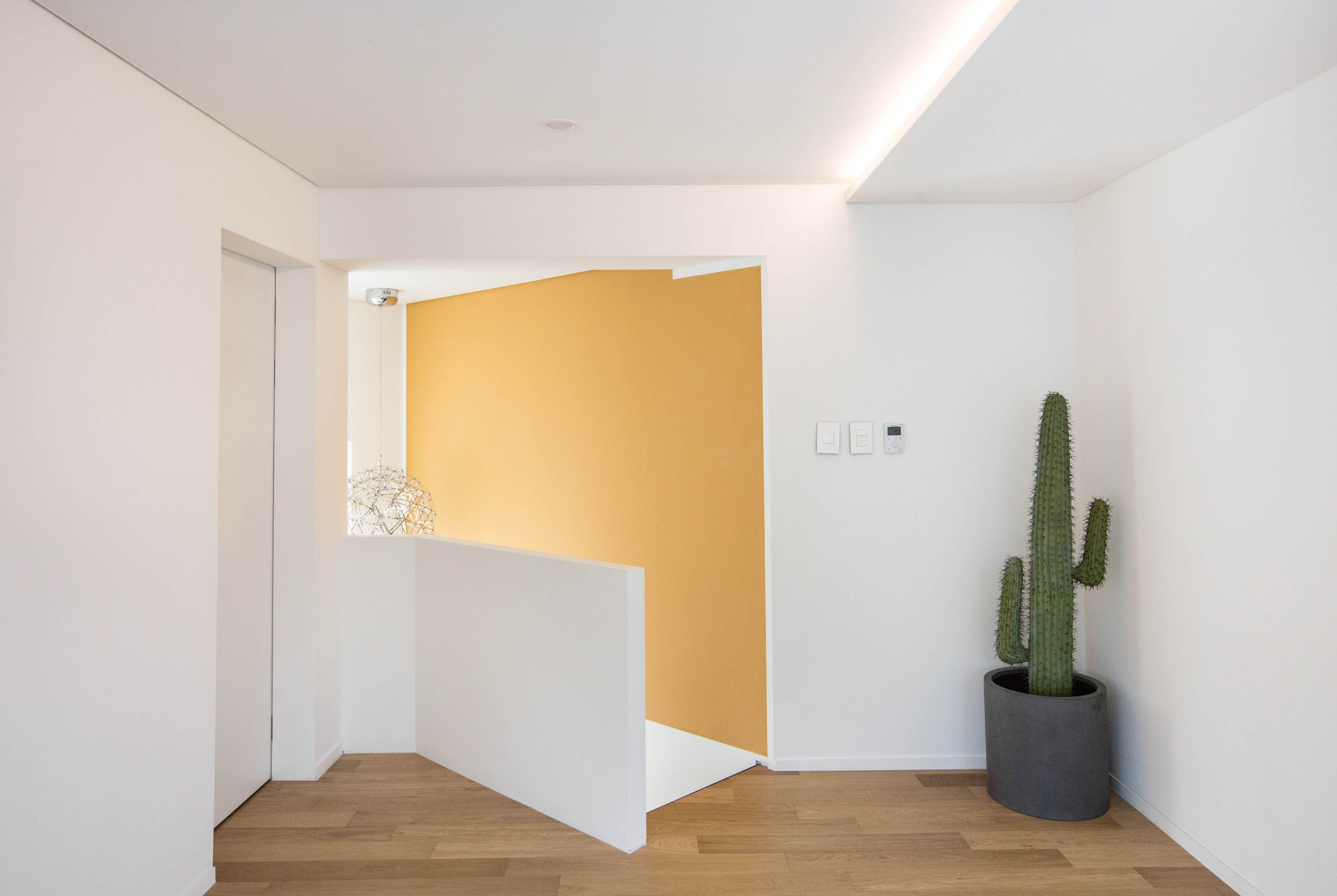 신성의 숲 대표 이미지