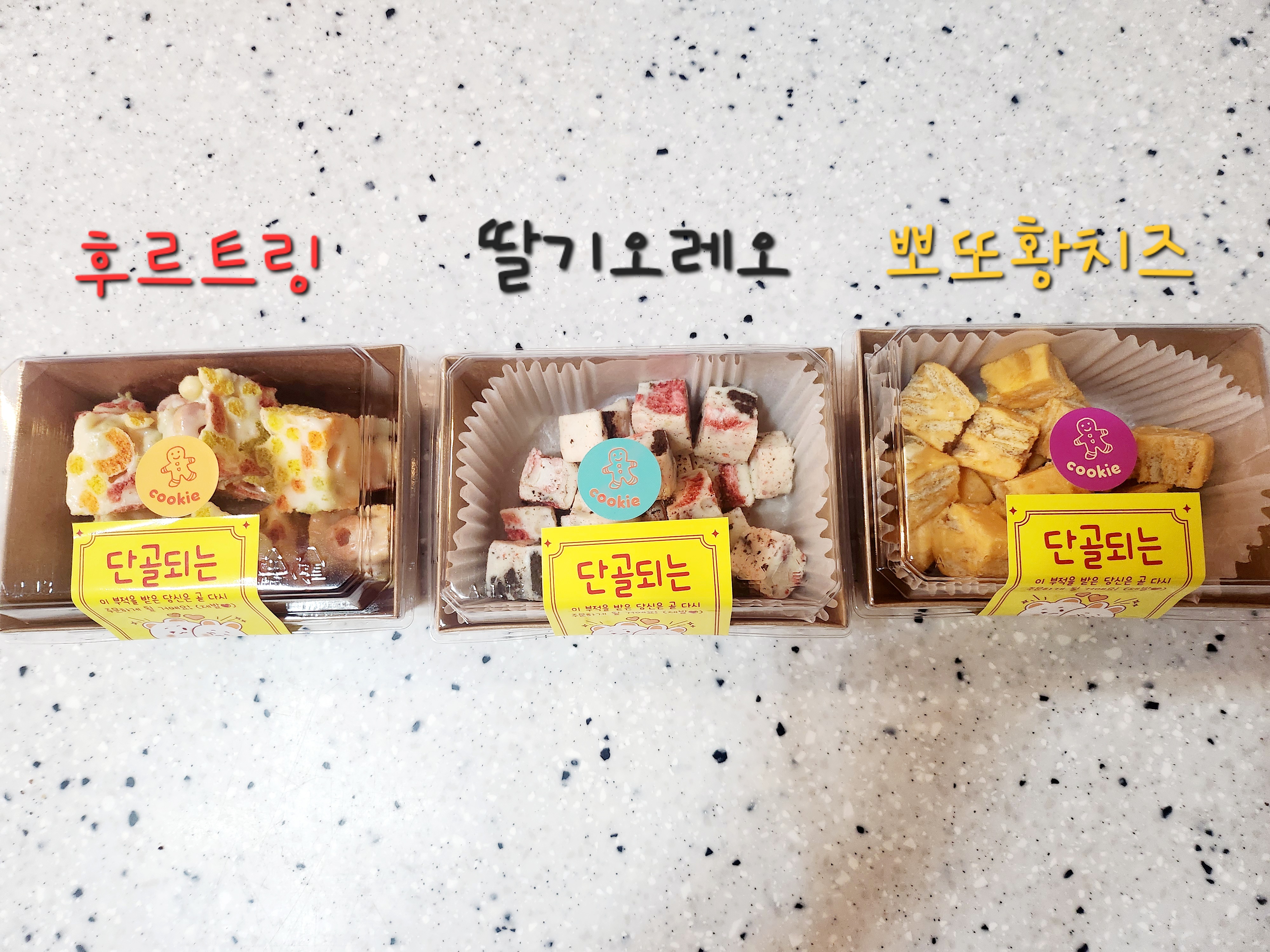 좋은날마카롱 반려동물 동반 애견카페