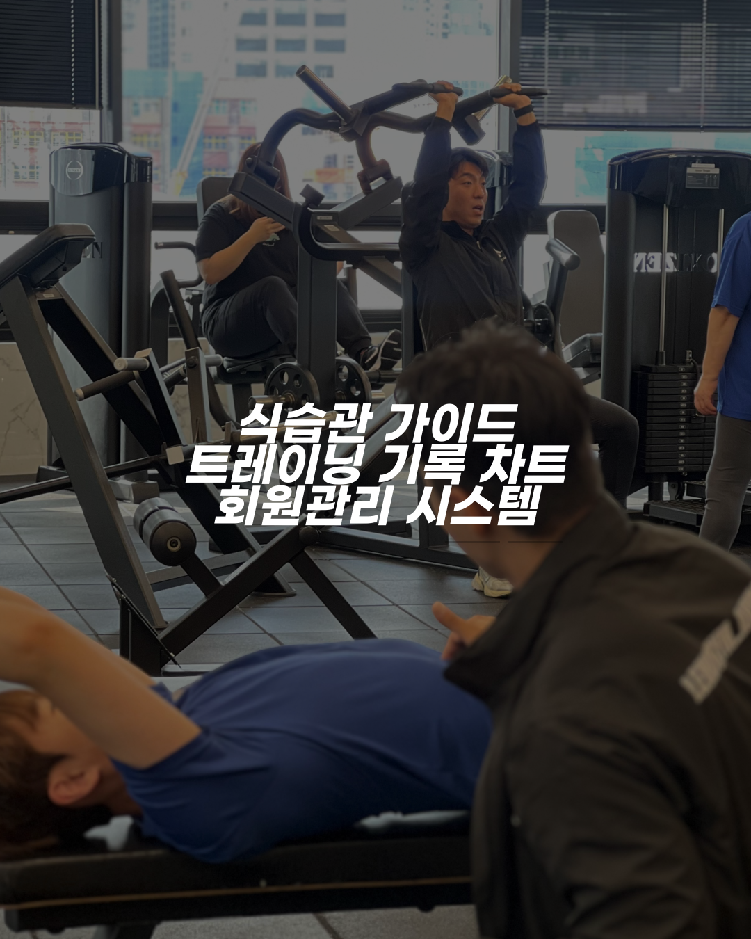 레몬짐 안양점 PT&헬스