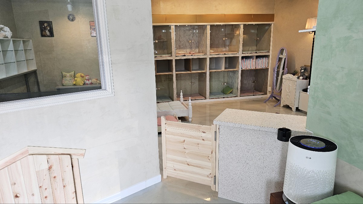 비슬독 대표 이미지