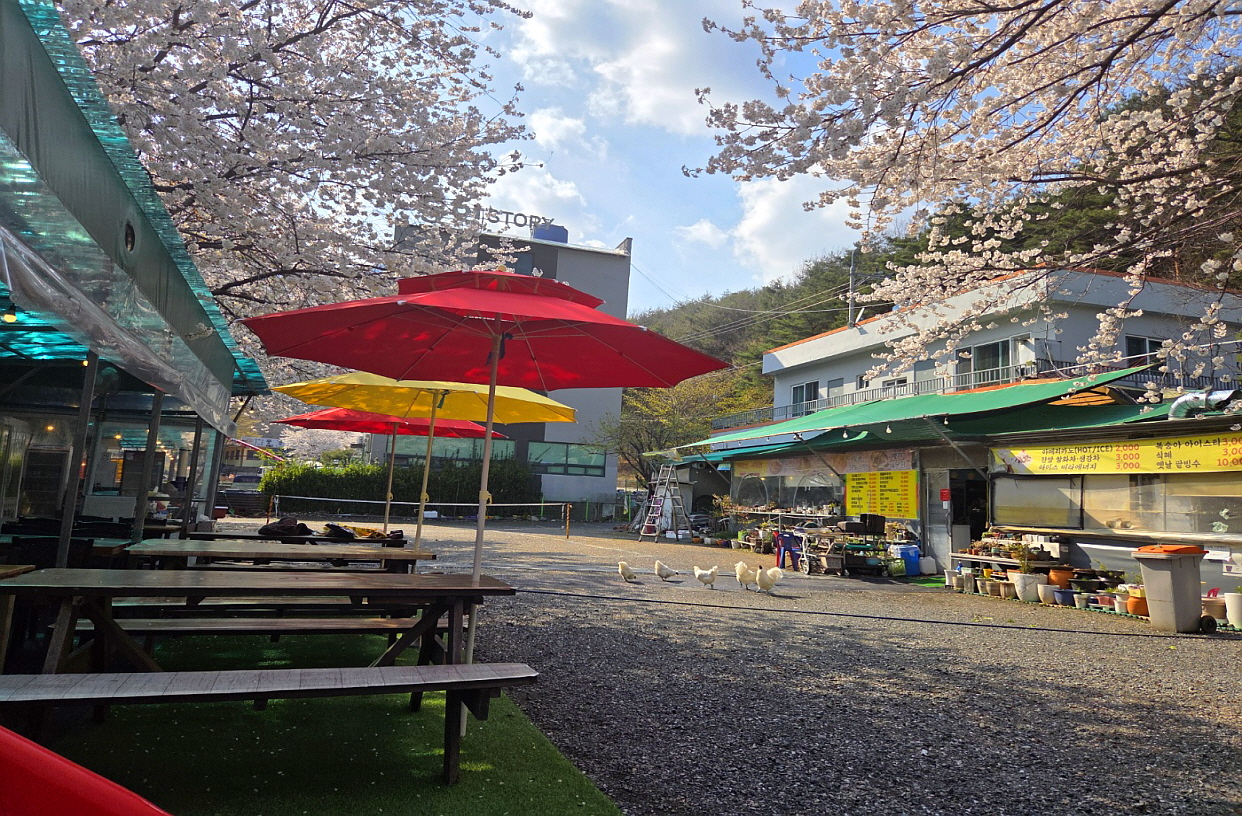 삼성산장