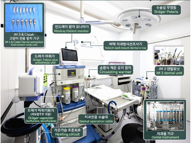 장승준동물치과병원 대표 이미지