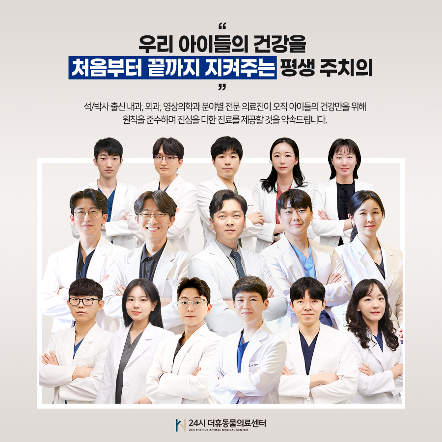 부산 24시 더휴동물의료센터