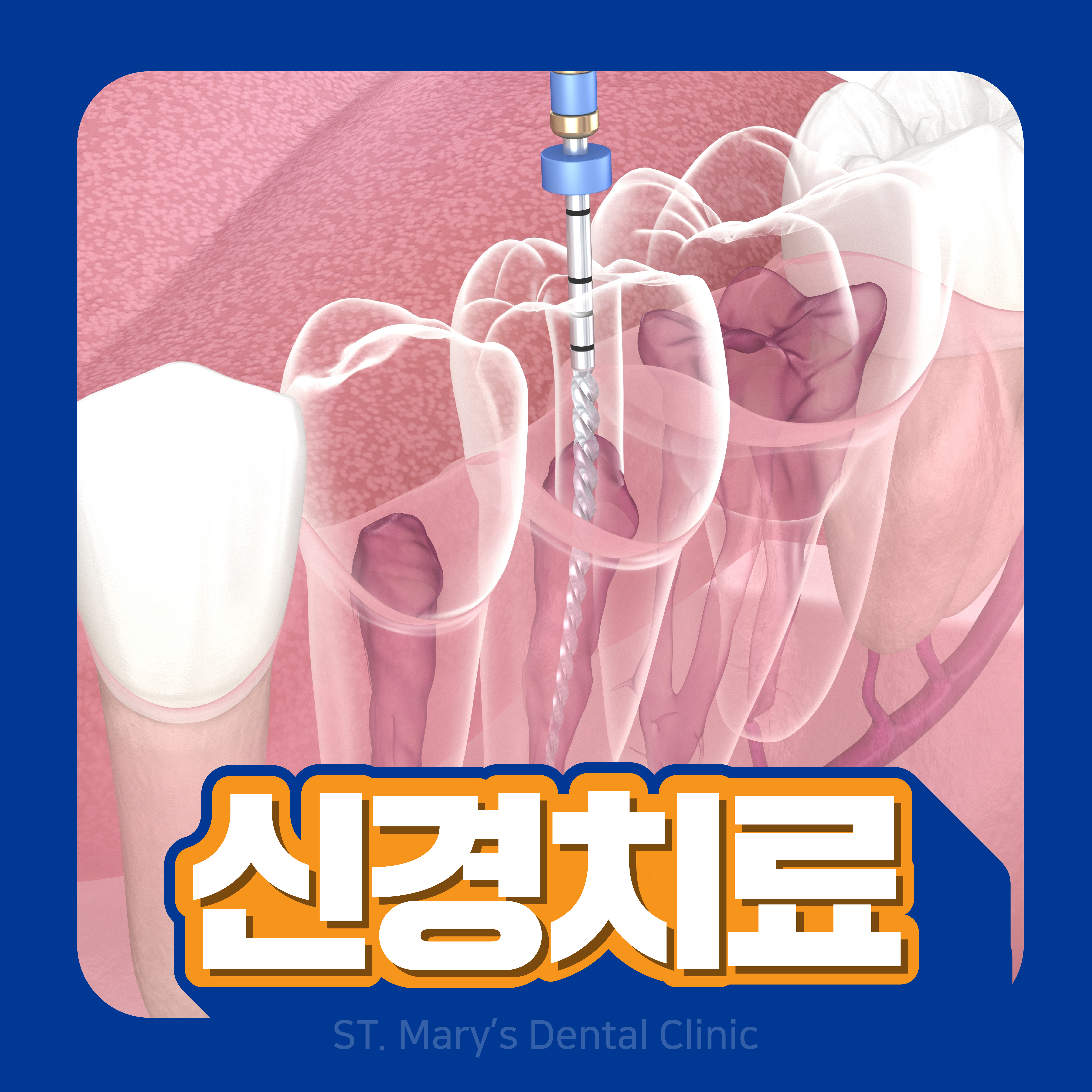 의정부성모치과의원 대표 이미지
