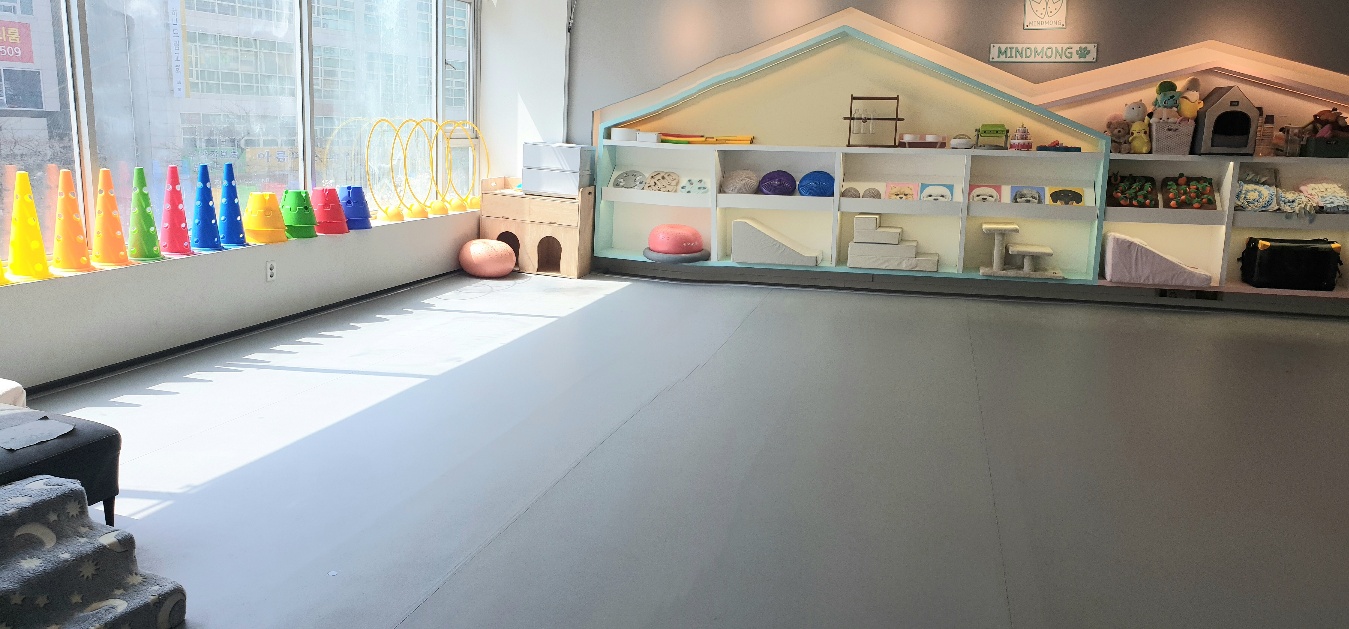 마인드몽 애견유치원/애견호텔/애견미용/데이케어 대표 이미지