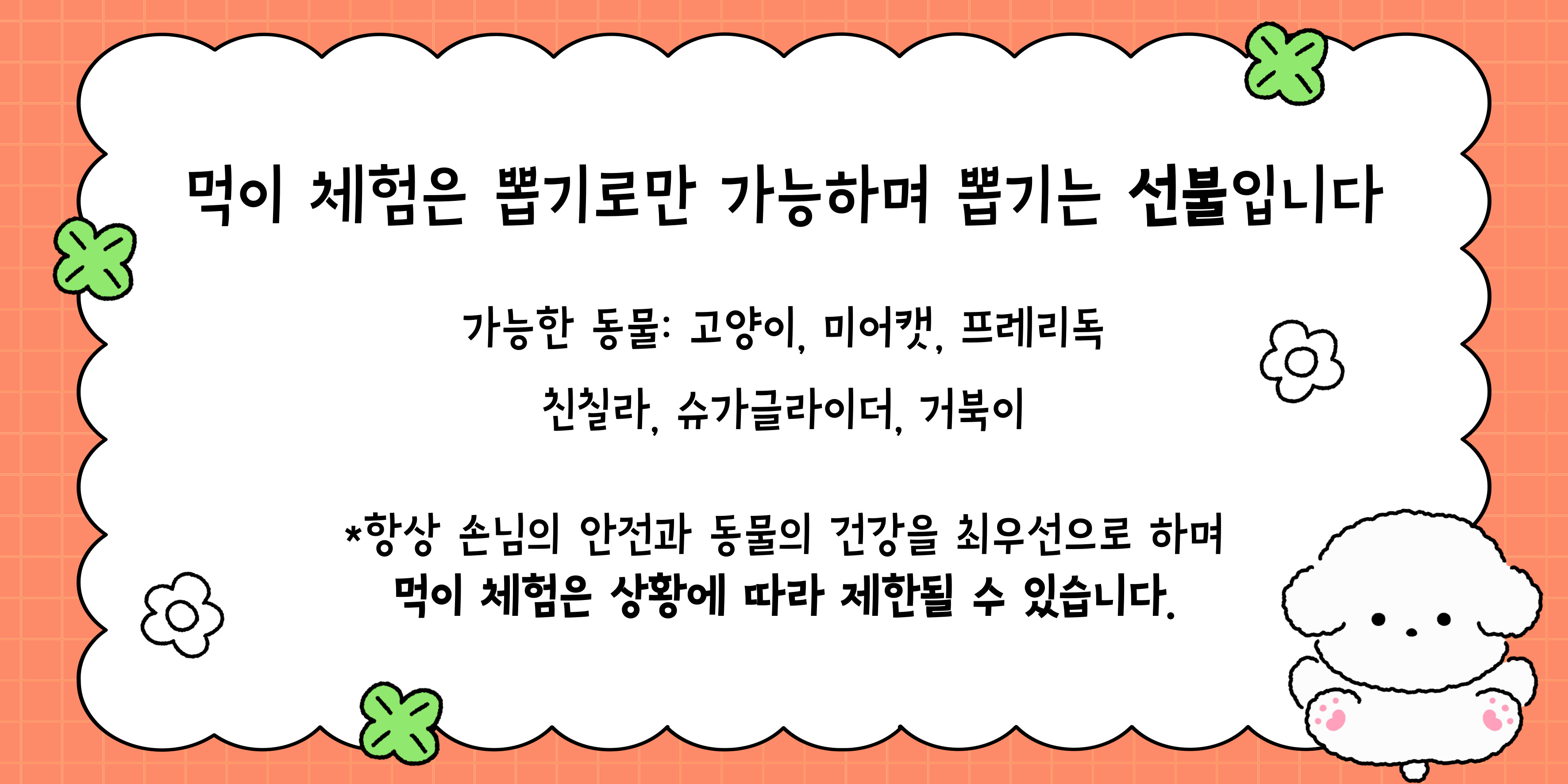파충류카페 강릉점