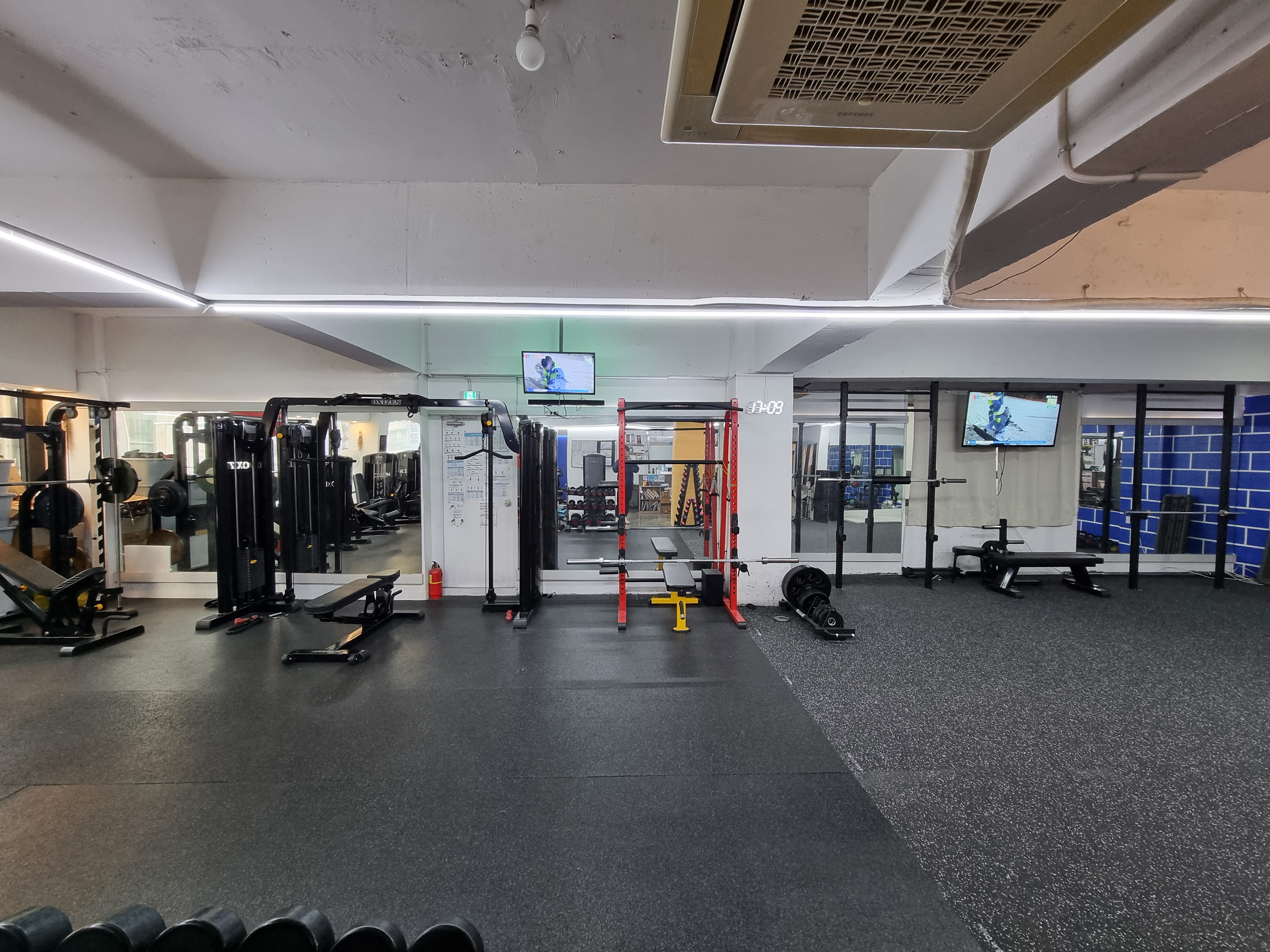 뉴핏 대표 이미지