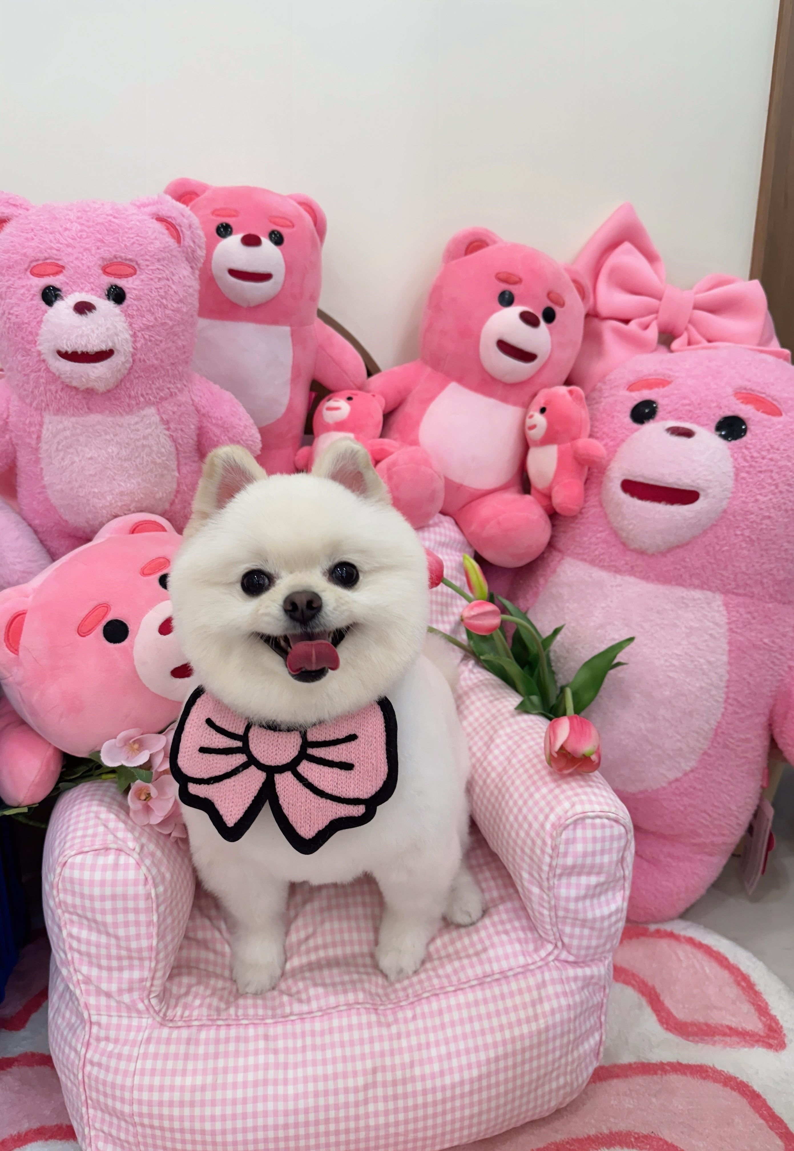 멍멍블리 대표 이미지