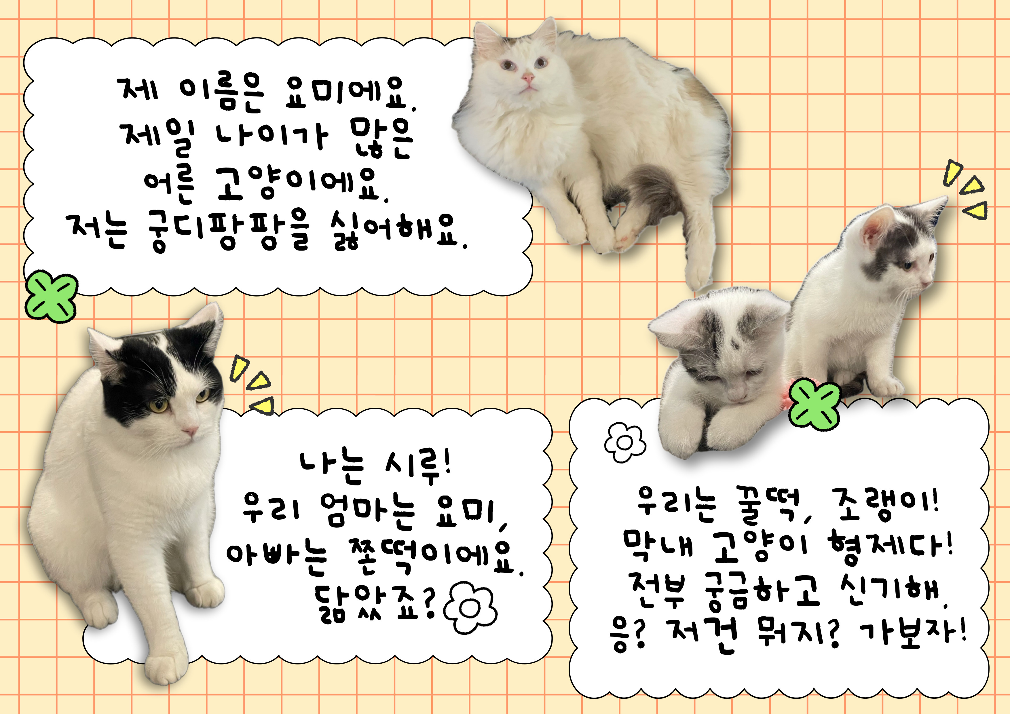 파충류카페 강릉점