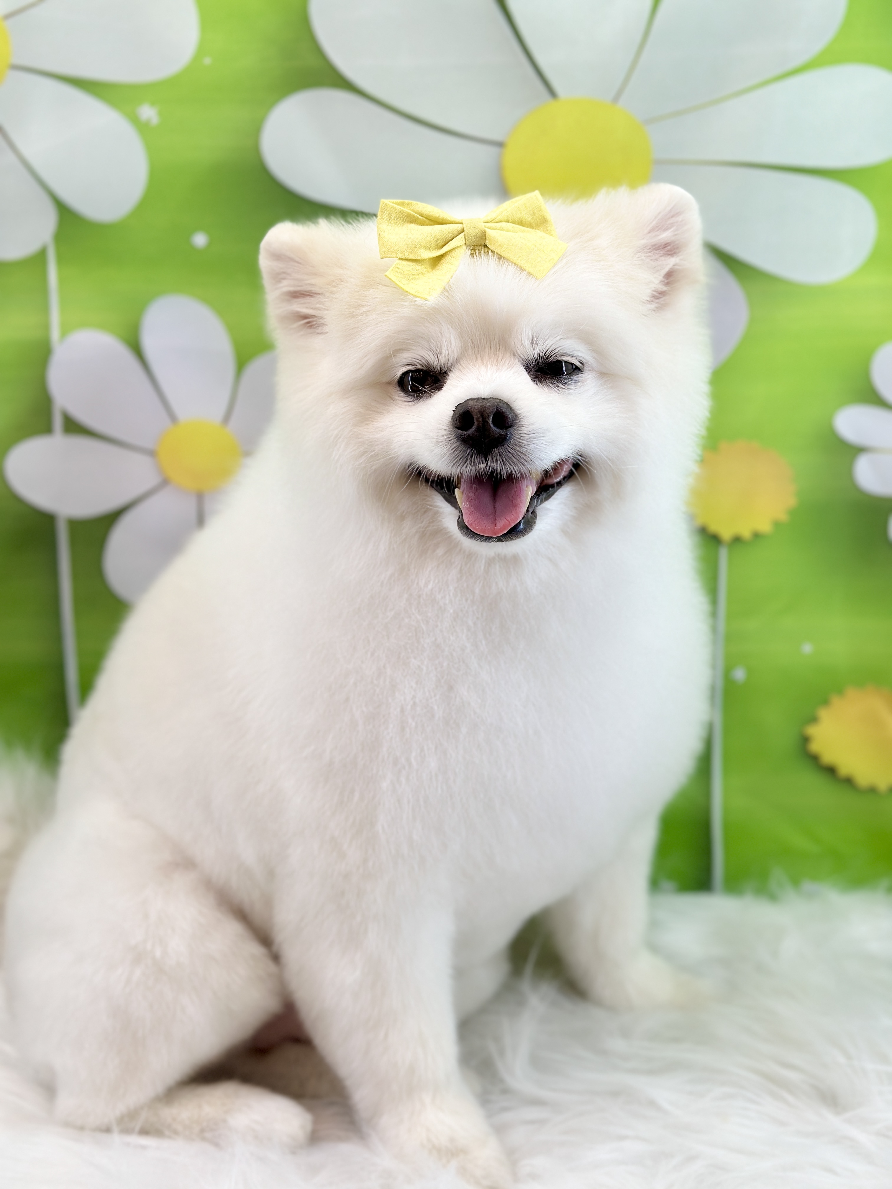 마르댕