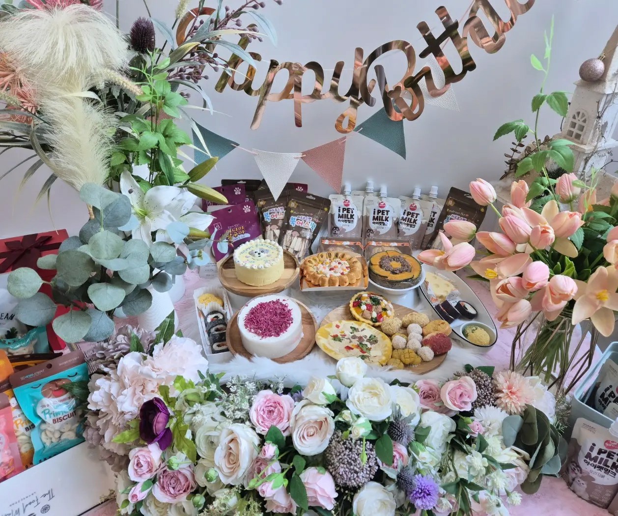 마인드몽 애견유치원/애견호텔/애견미용/데이케어 대표 이미지