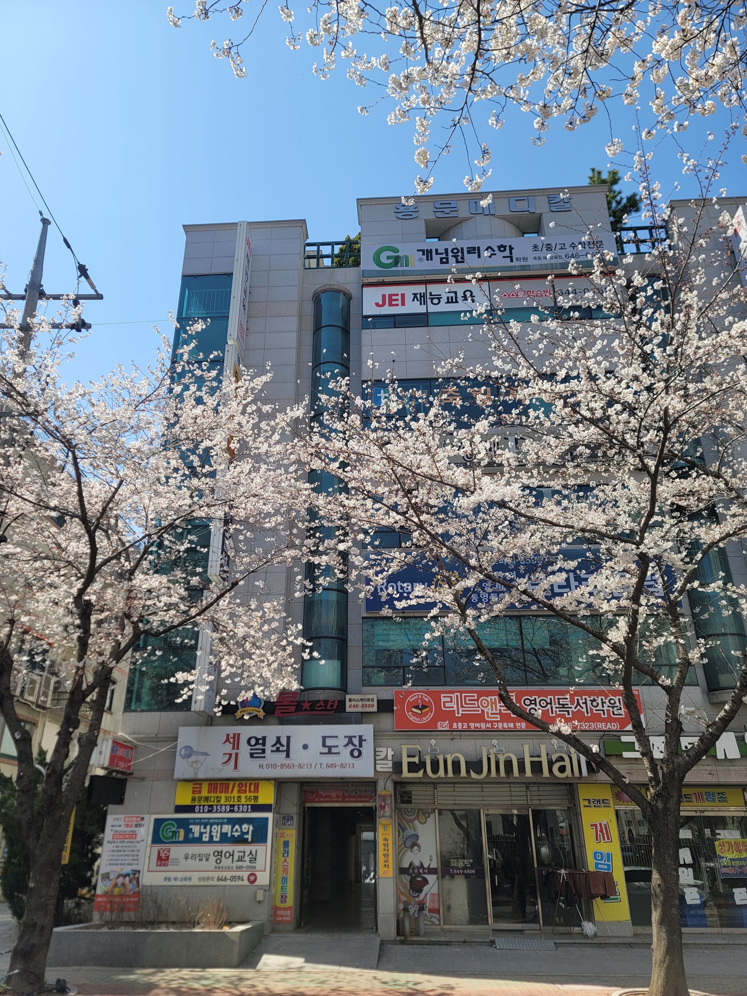 리드앤톡영어독서학원죽림센터