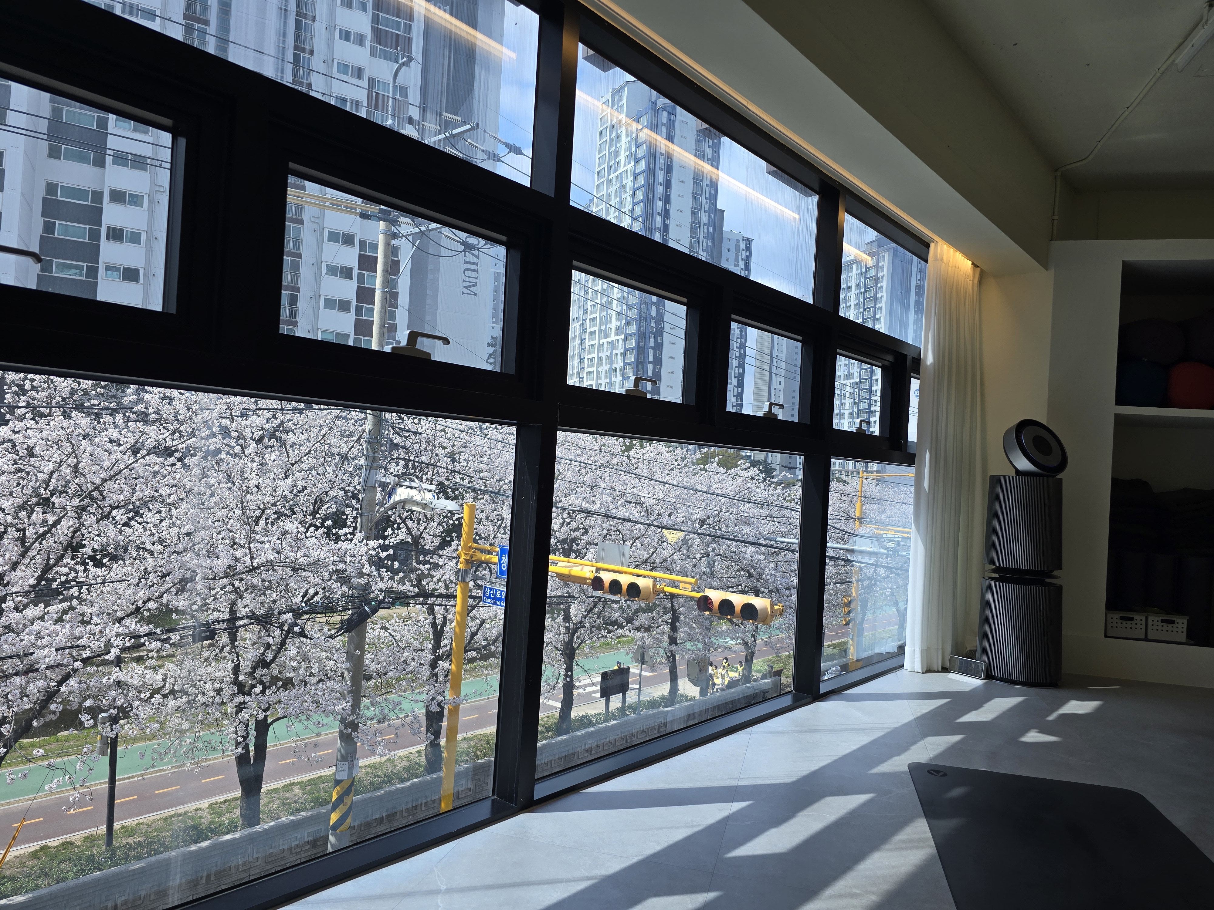 요가 수트라 대표 이미지