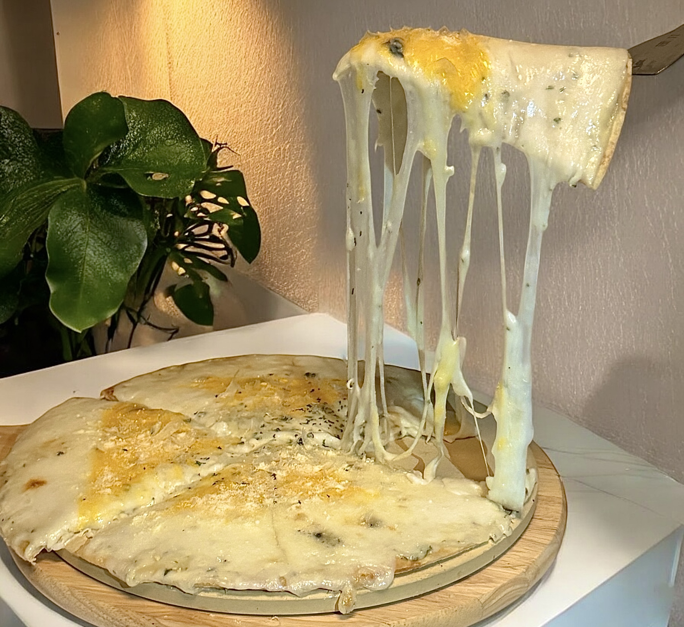 테네스 더 포레스트 신동