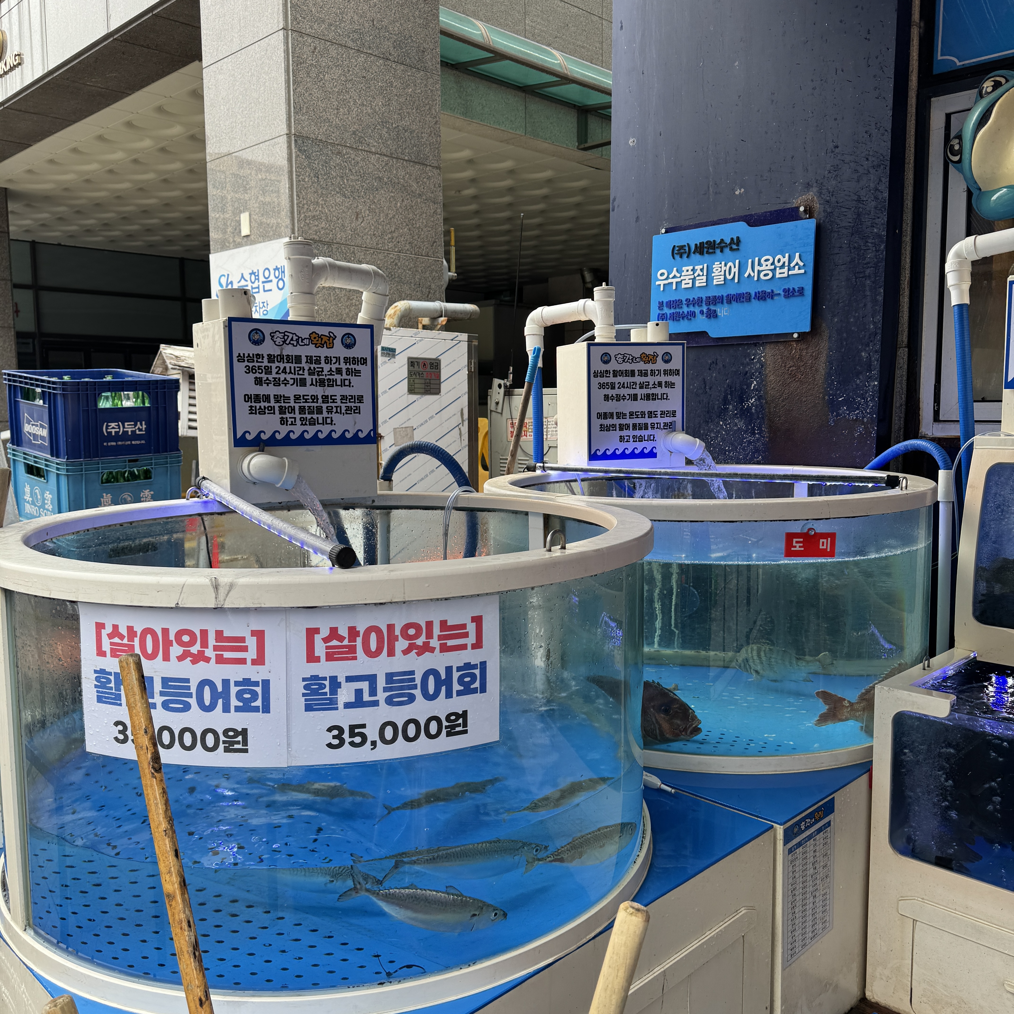 총각네횟집 다산본점