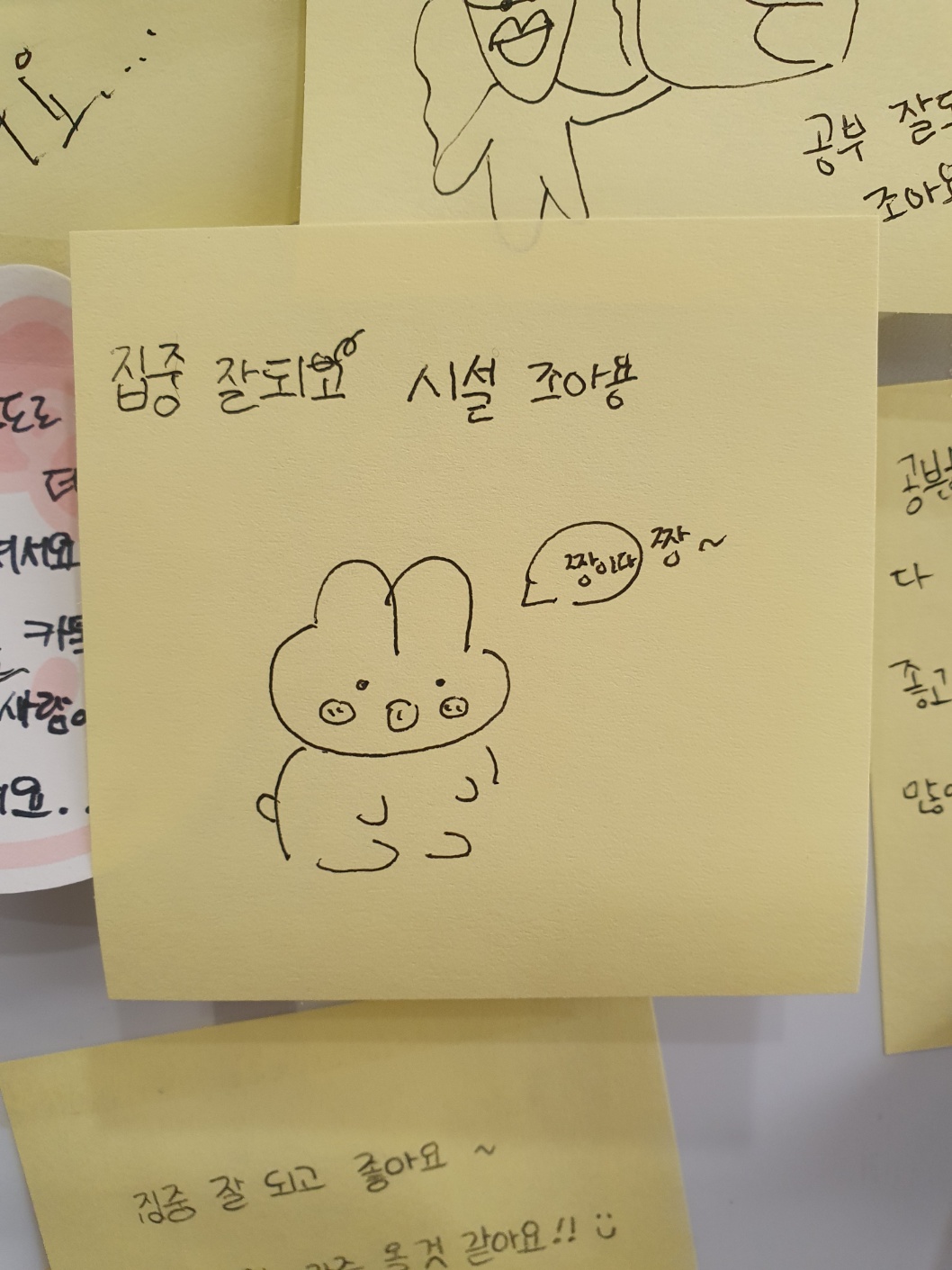 업체사진