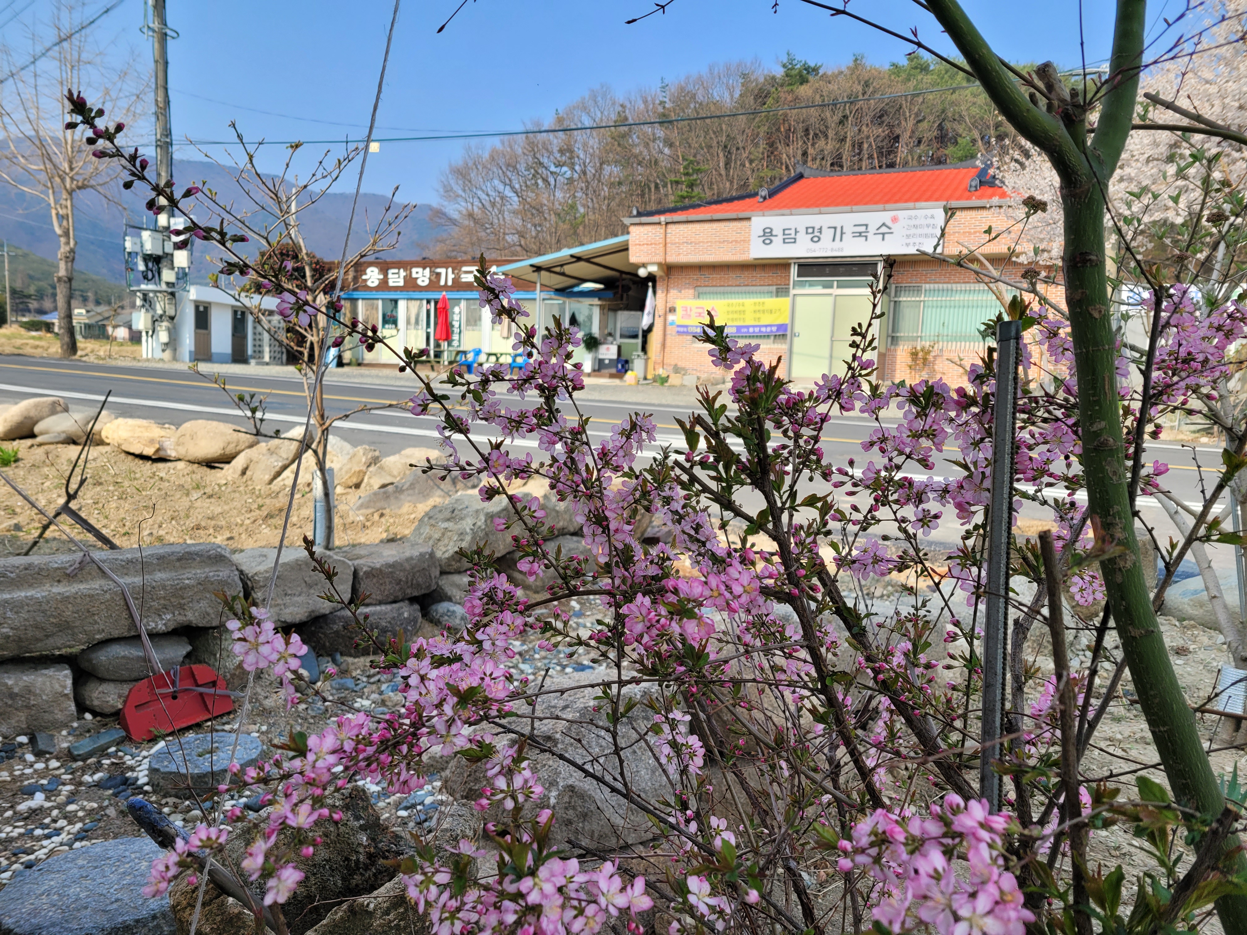 용담명가국수
