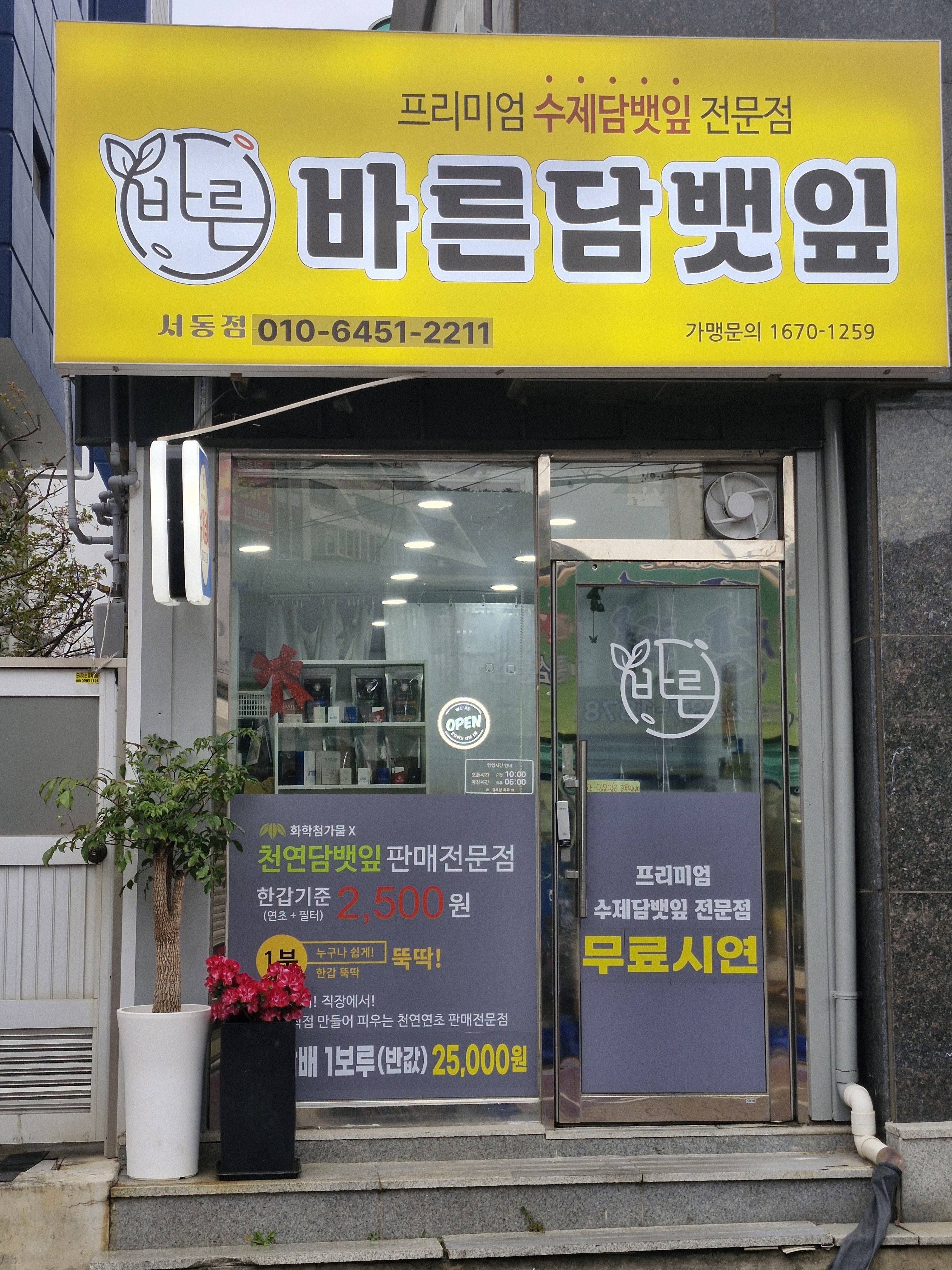 바른담뱃잎
