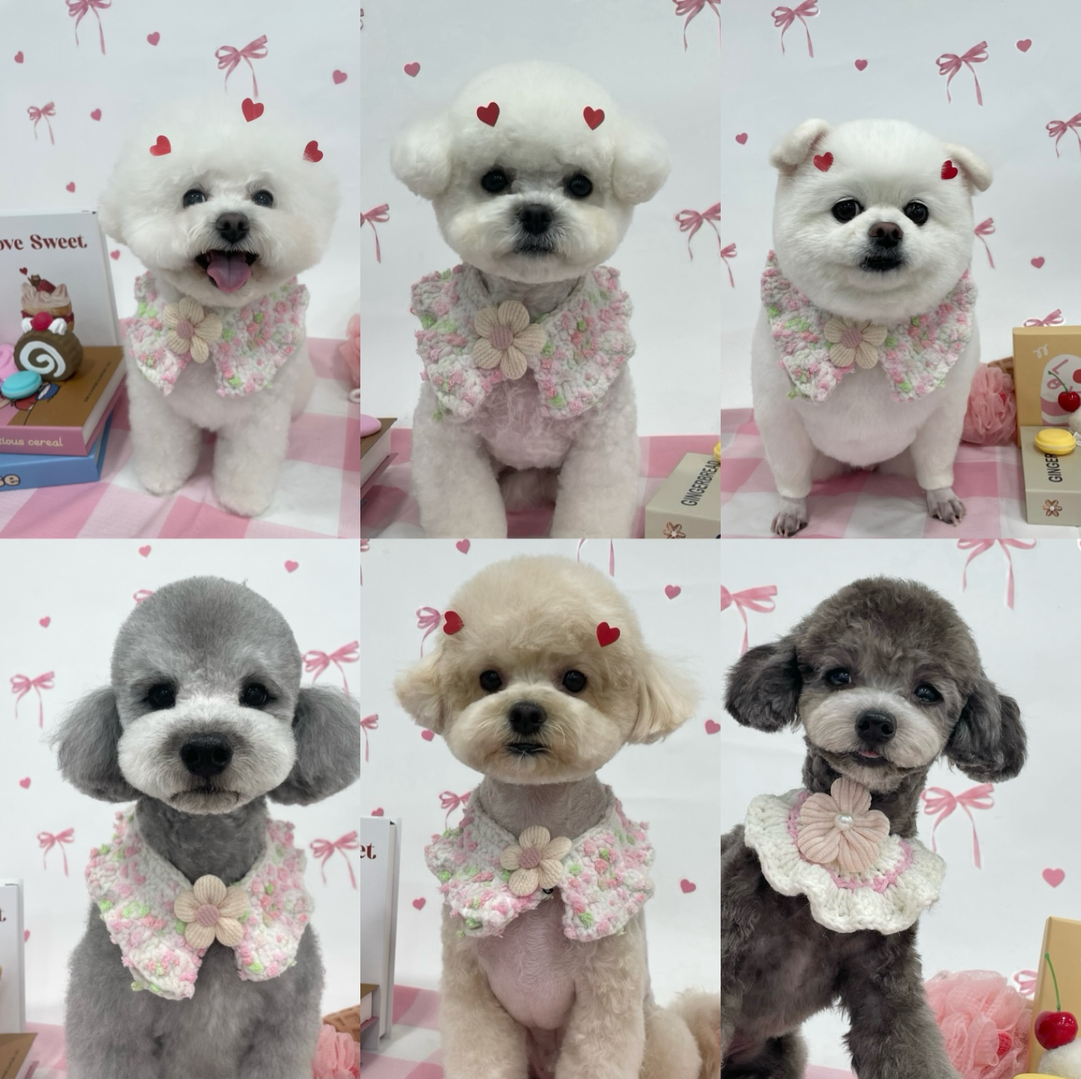 또이쁜댕 대표 이미지