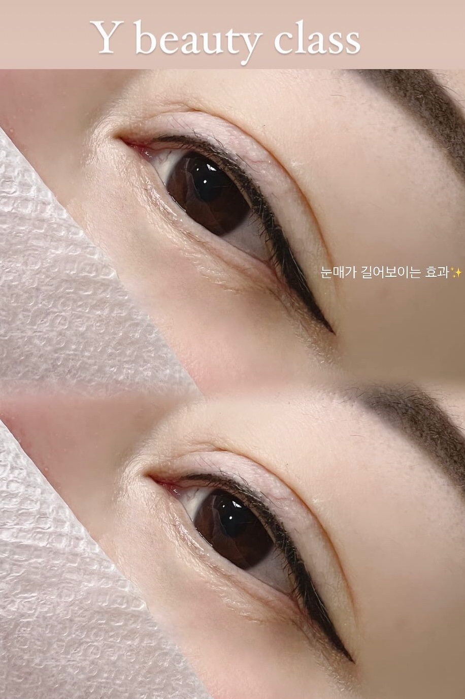 와이뷰티클래스