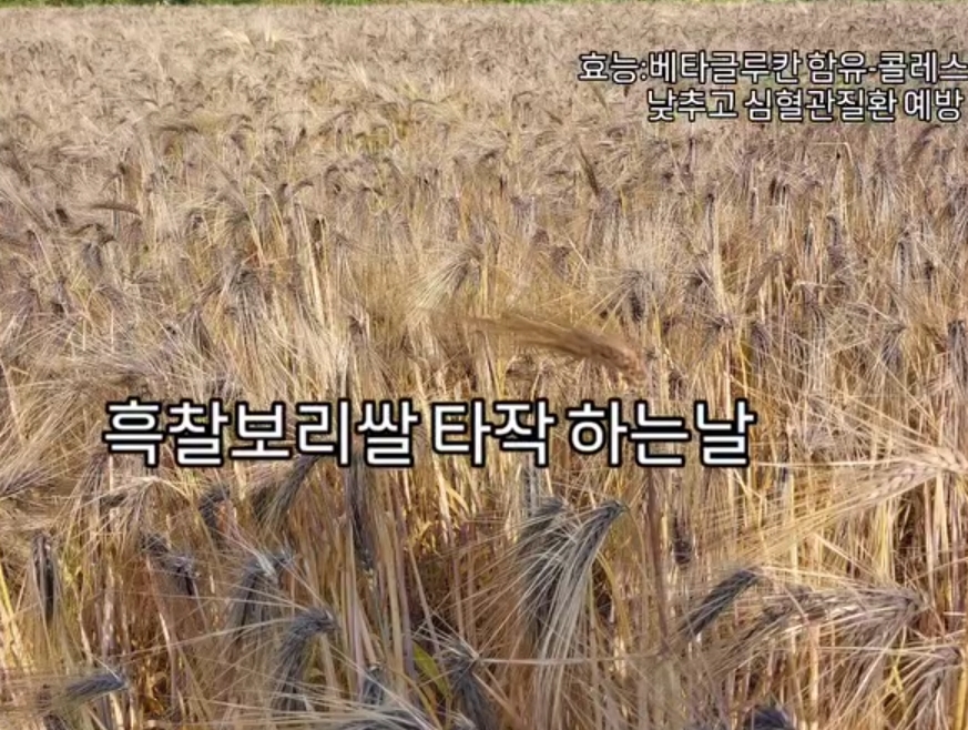 보리떡머슴과 커피마님 2