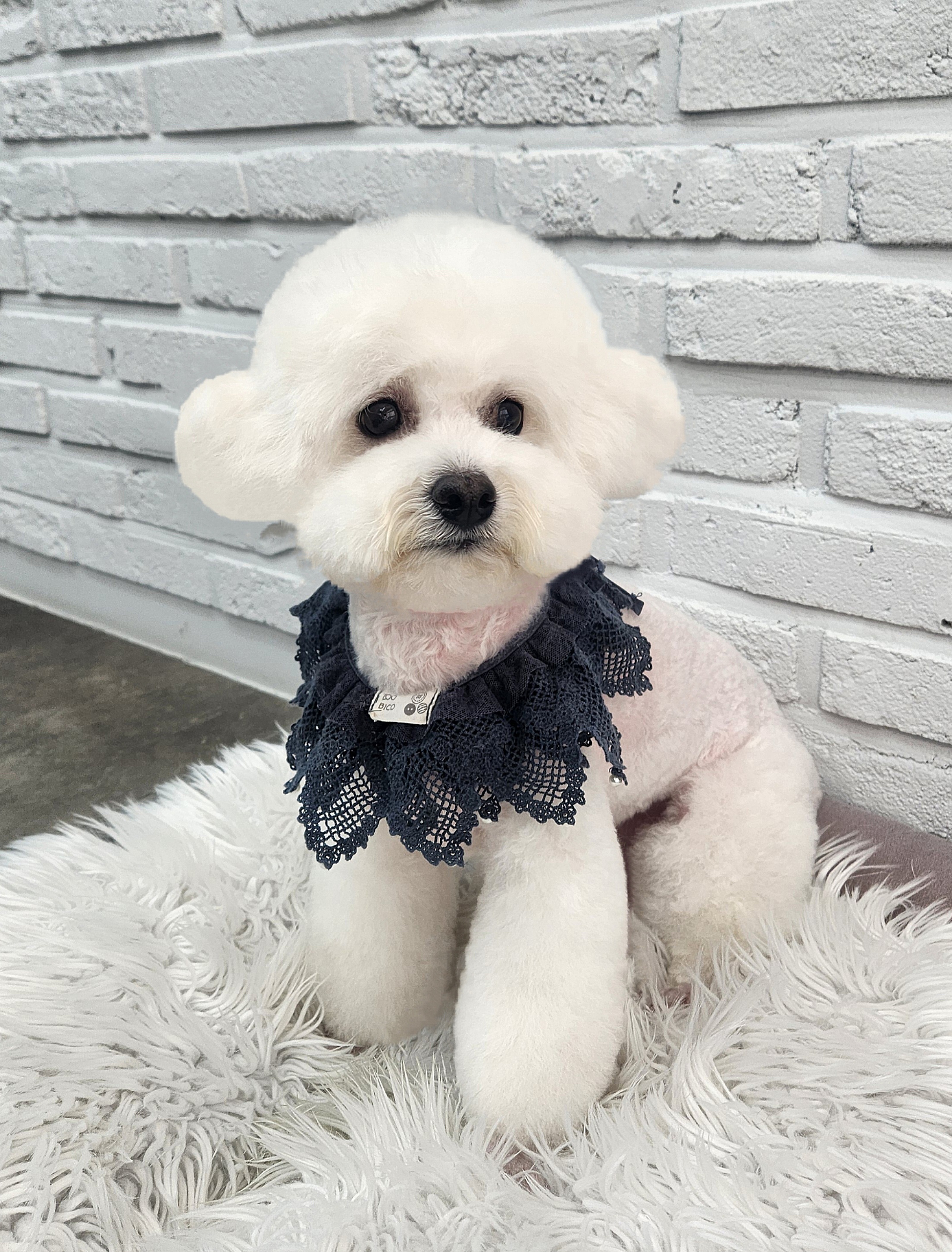우리몽 대표 이미지